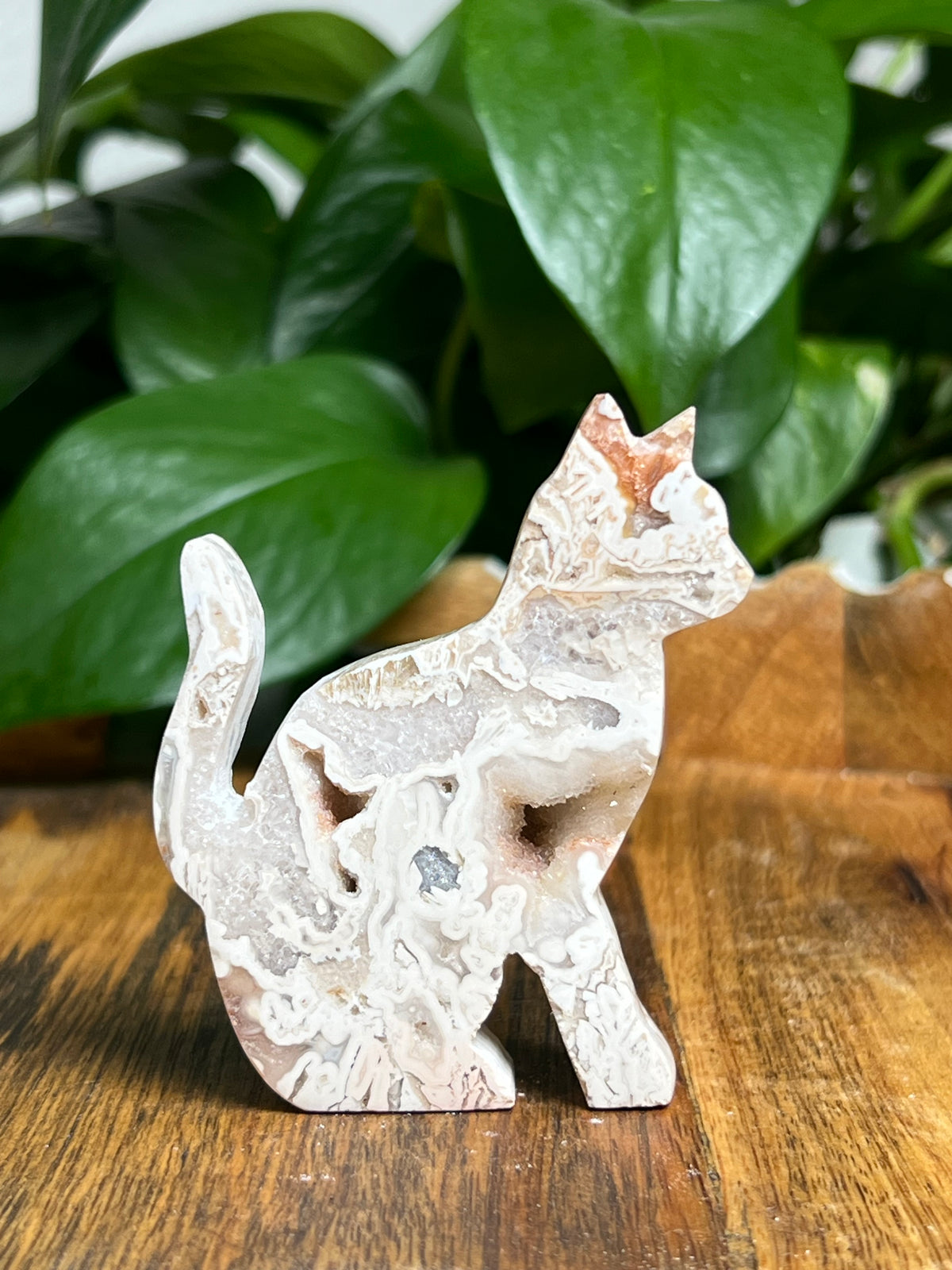 Tube Agate Cats