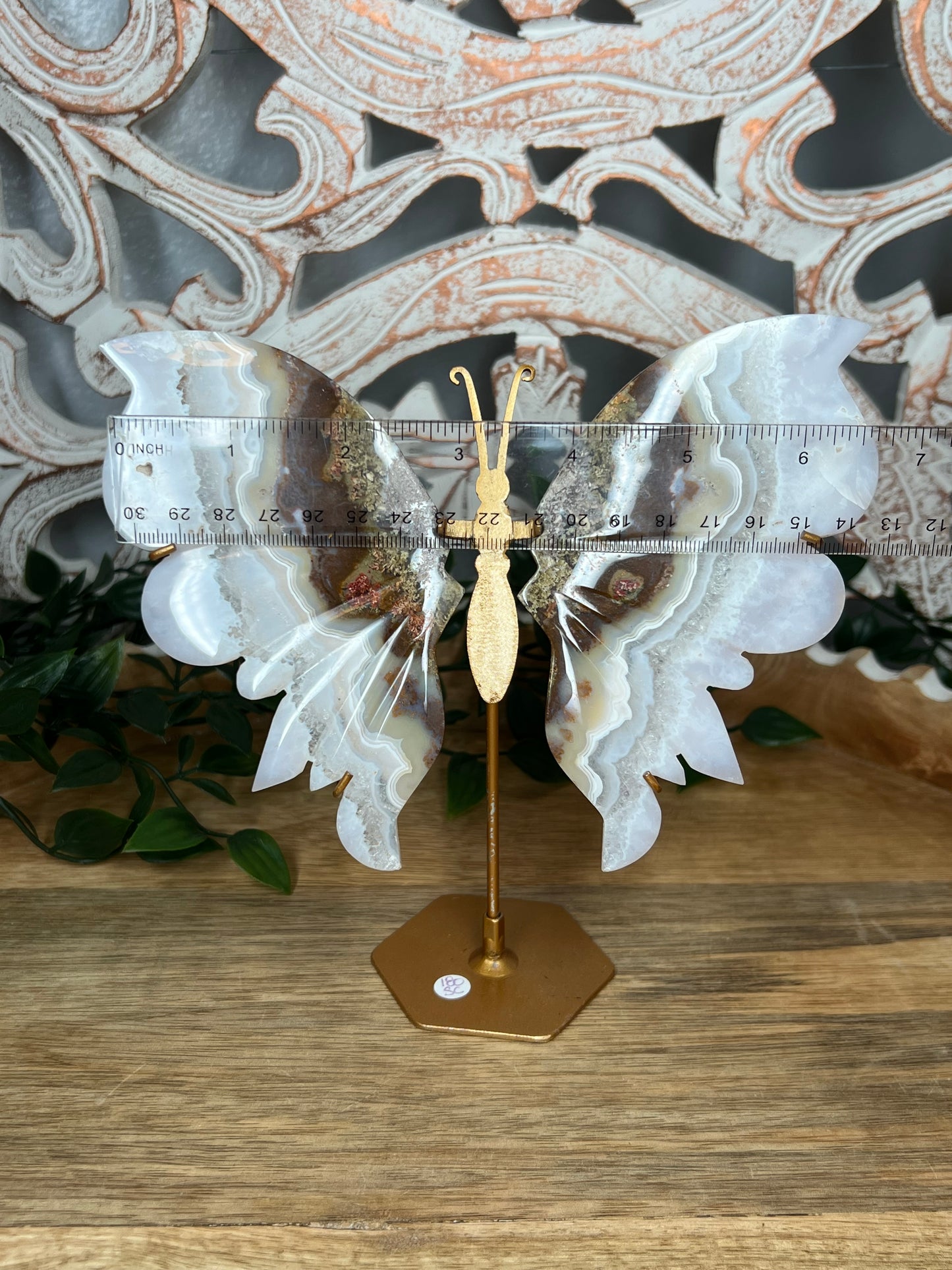 Scenic Moss Agate Wings