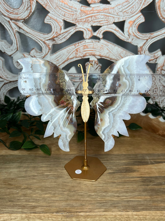 Scenic Moss Agate Wings