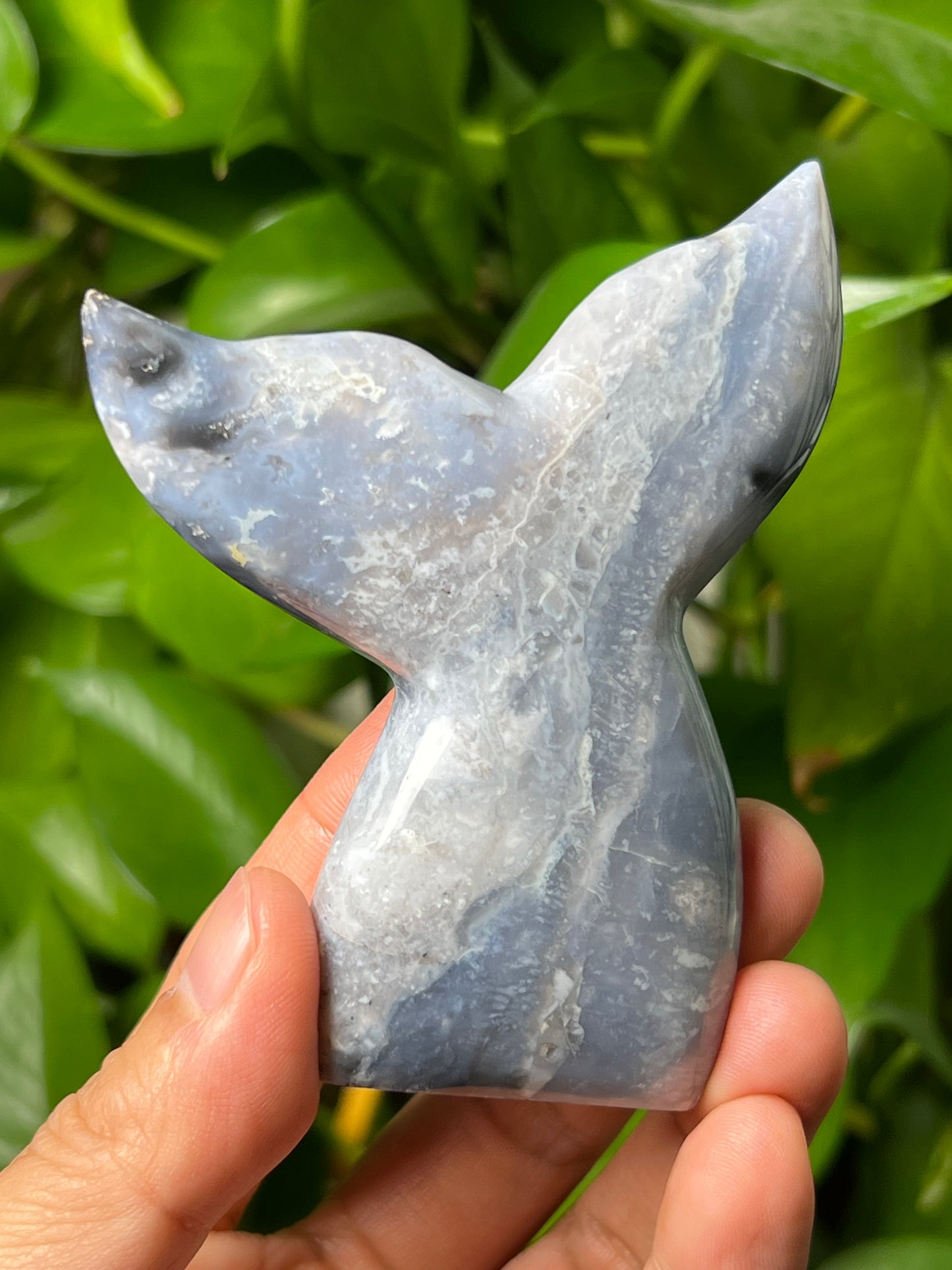 Purple Chalcedony Tail