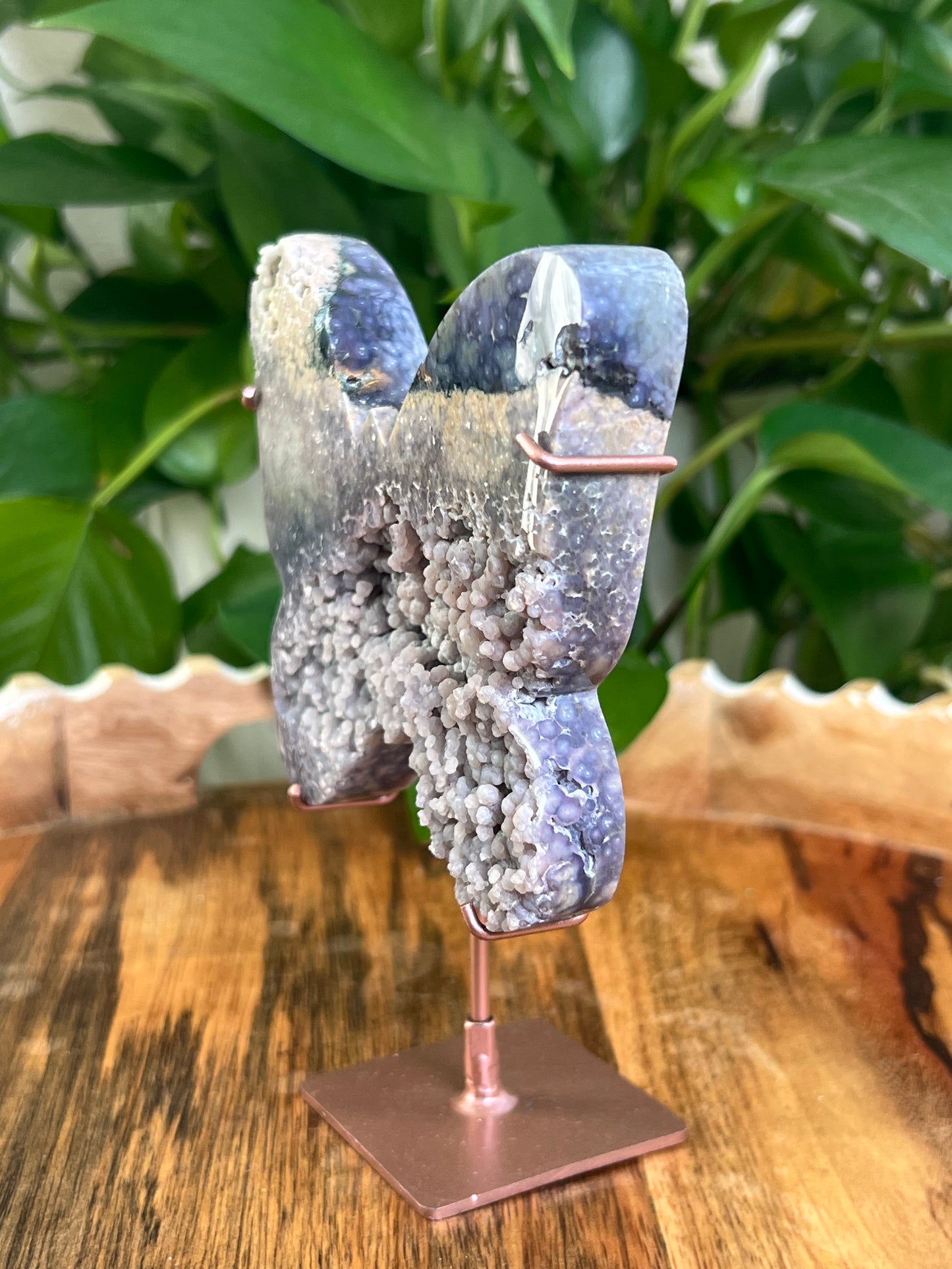Grape Agate Butterfly: PX