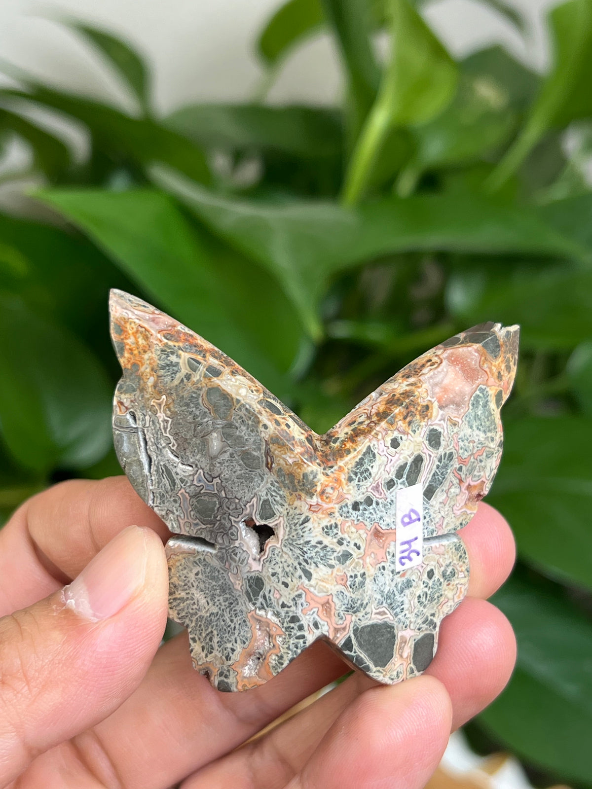Marcasite 3D Butterfly: B