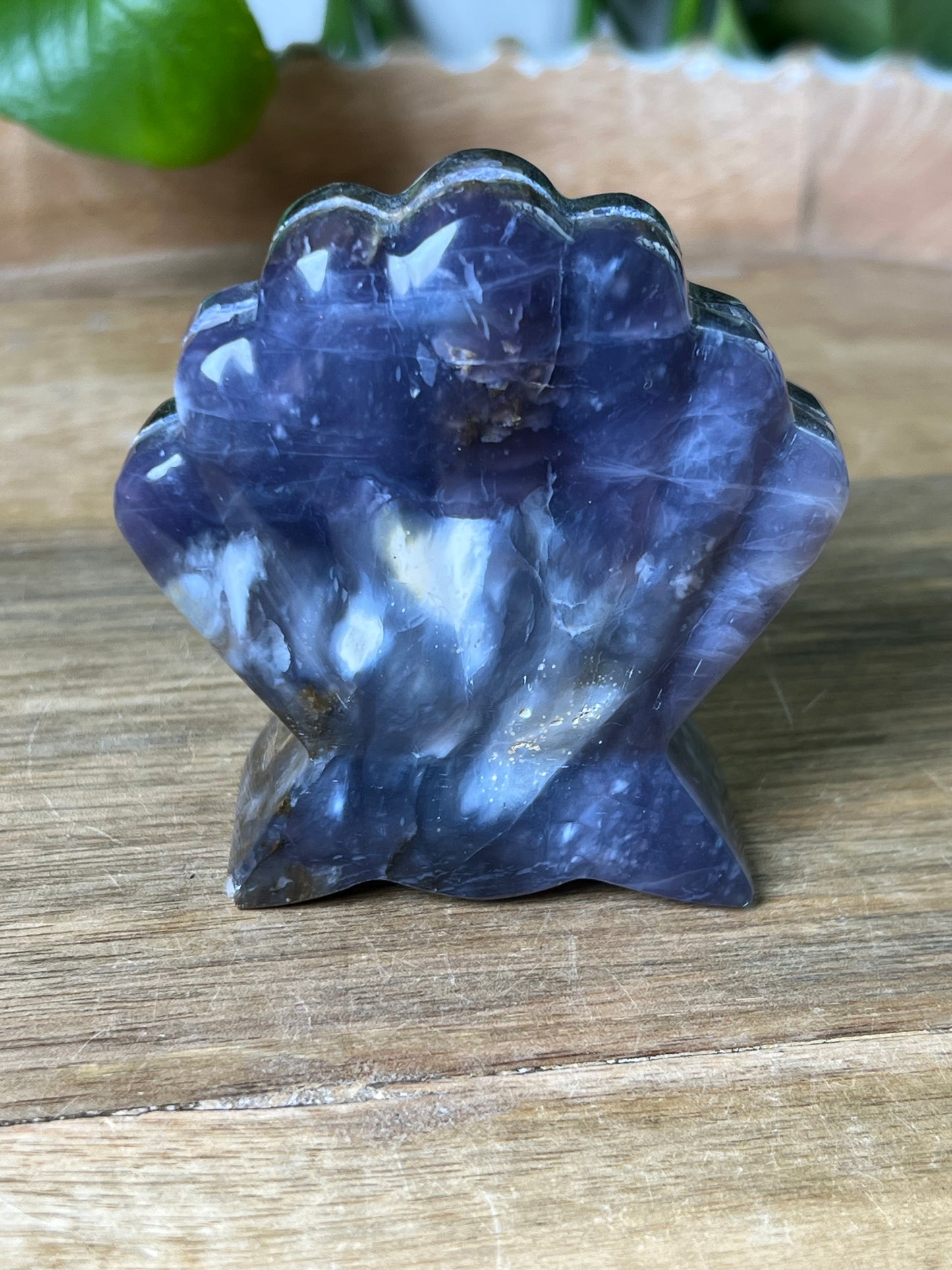 Purple Chalcedony Shell