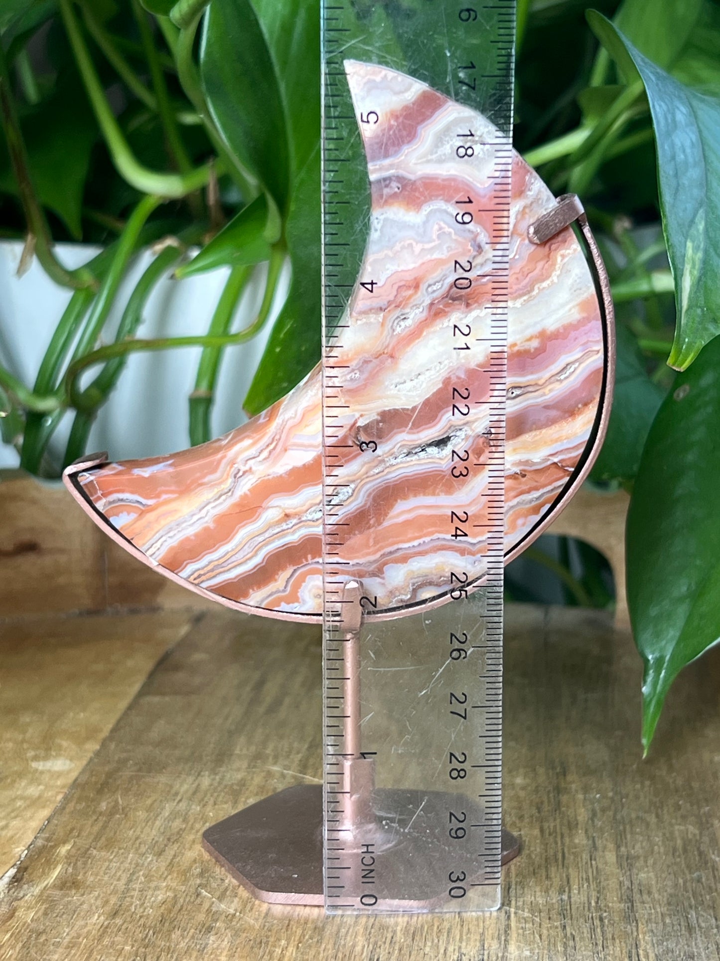 Crazy Lace Agate Moon