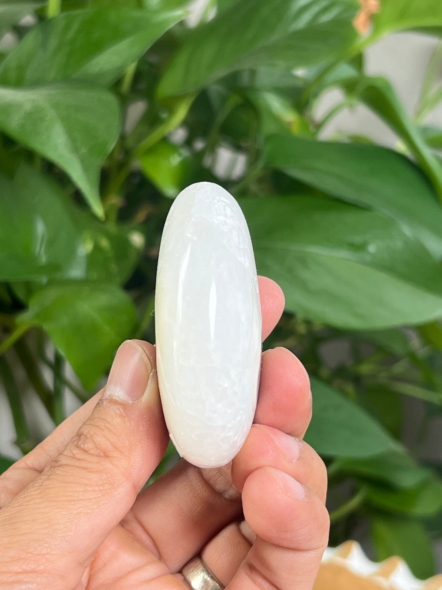 Scenic Moss Agate Palmstone: RH