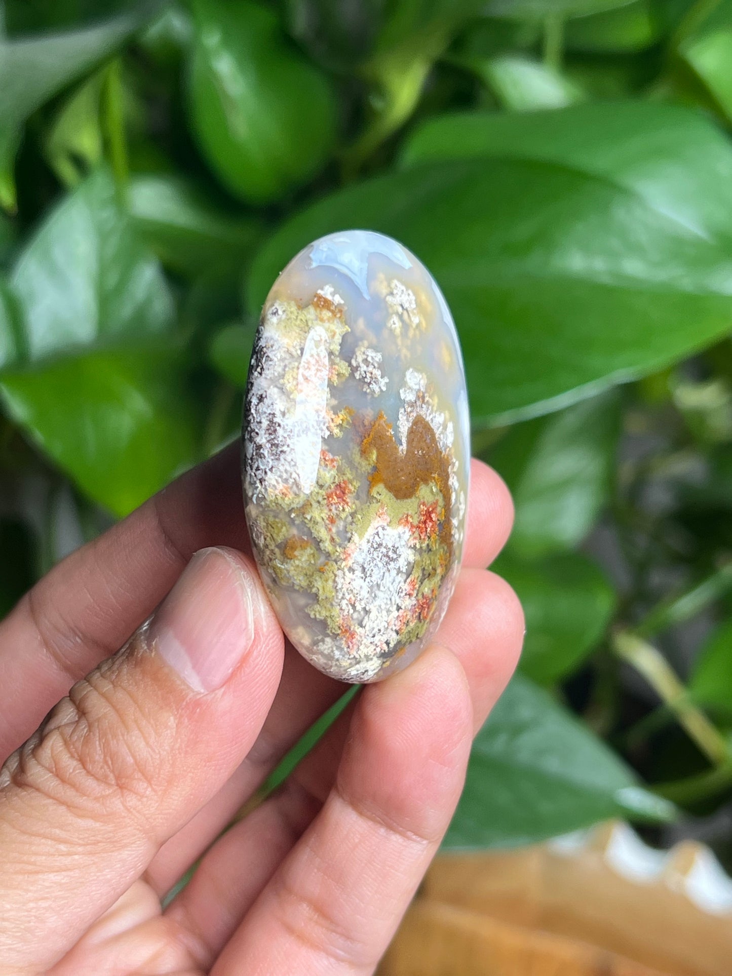 Scenic Moss Agate Palmstone: Bi