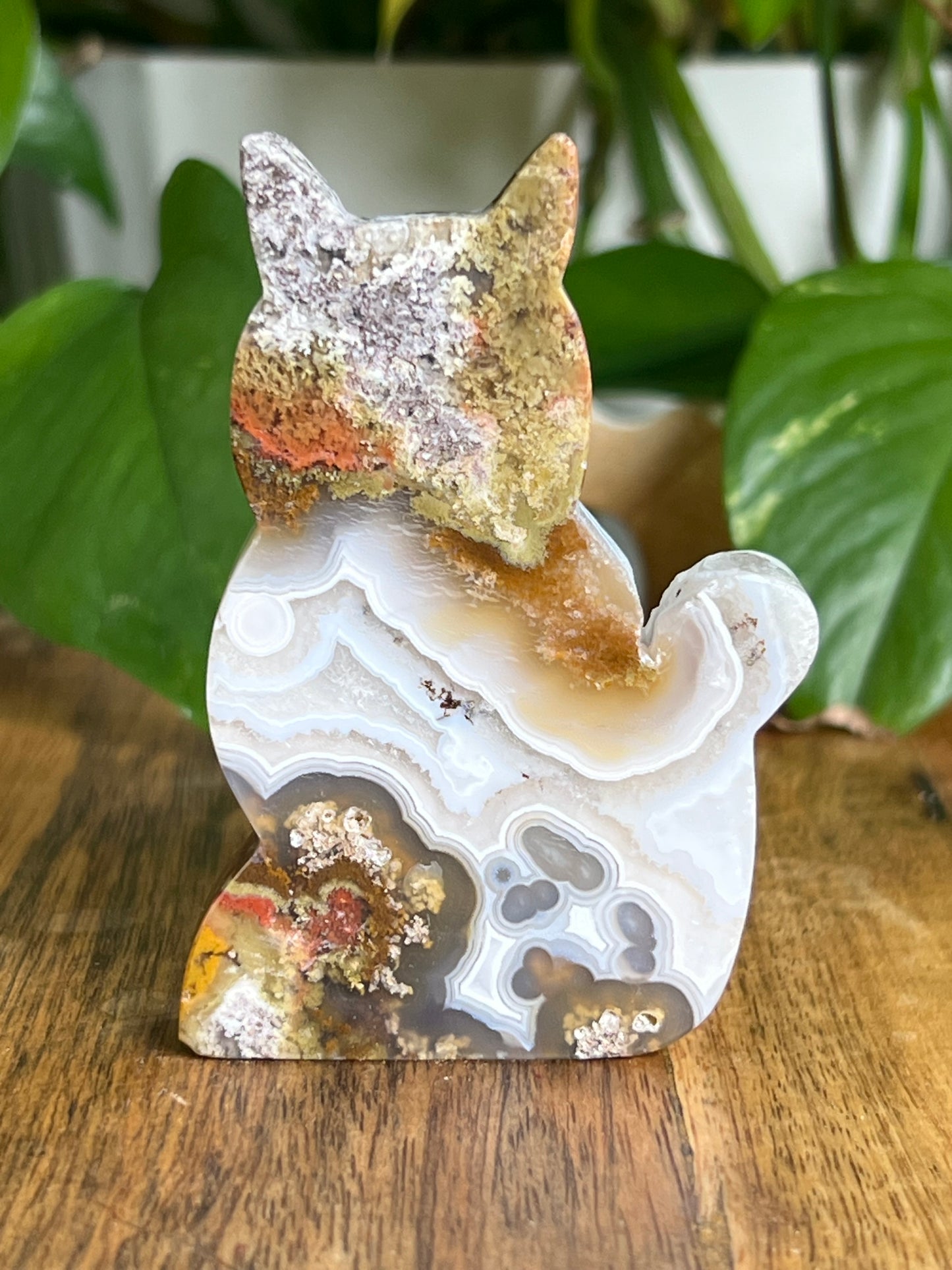 Scenic Moss Agate Cat HA