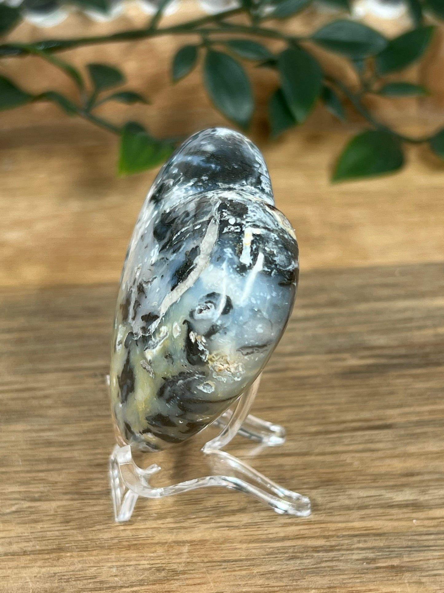 Rainbow Plume Agate Heart