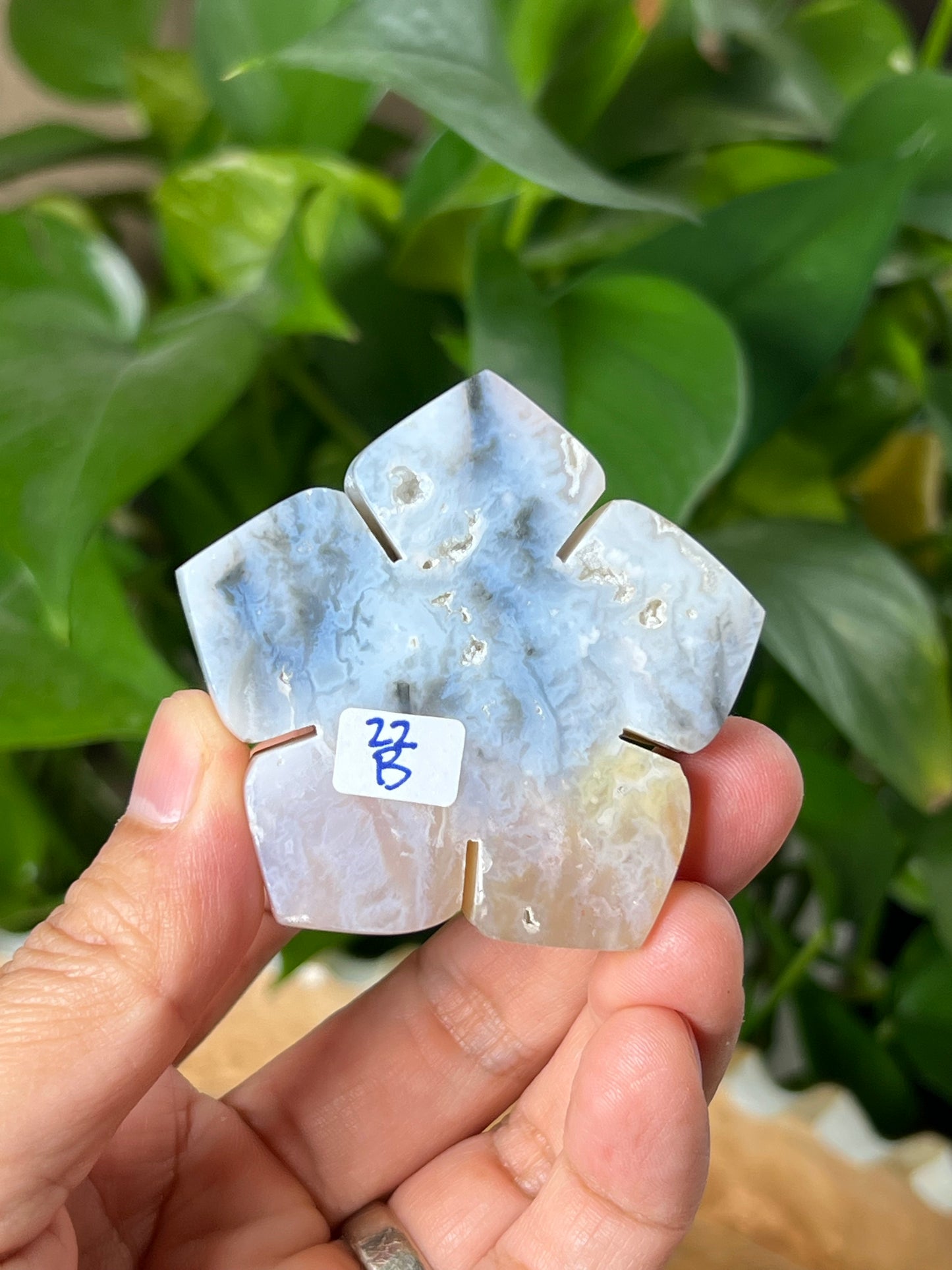 Rainbow Plume Agate Flower