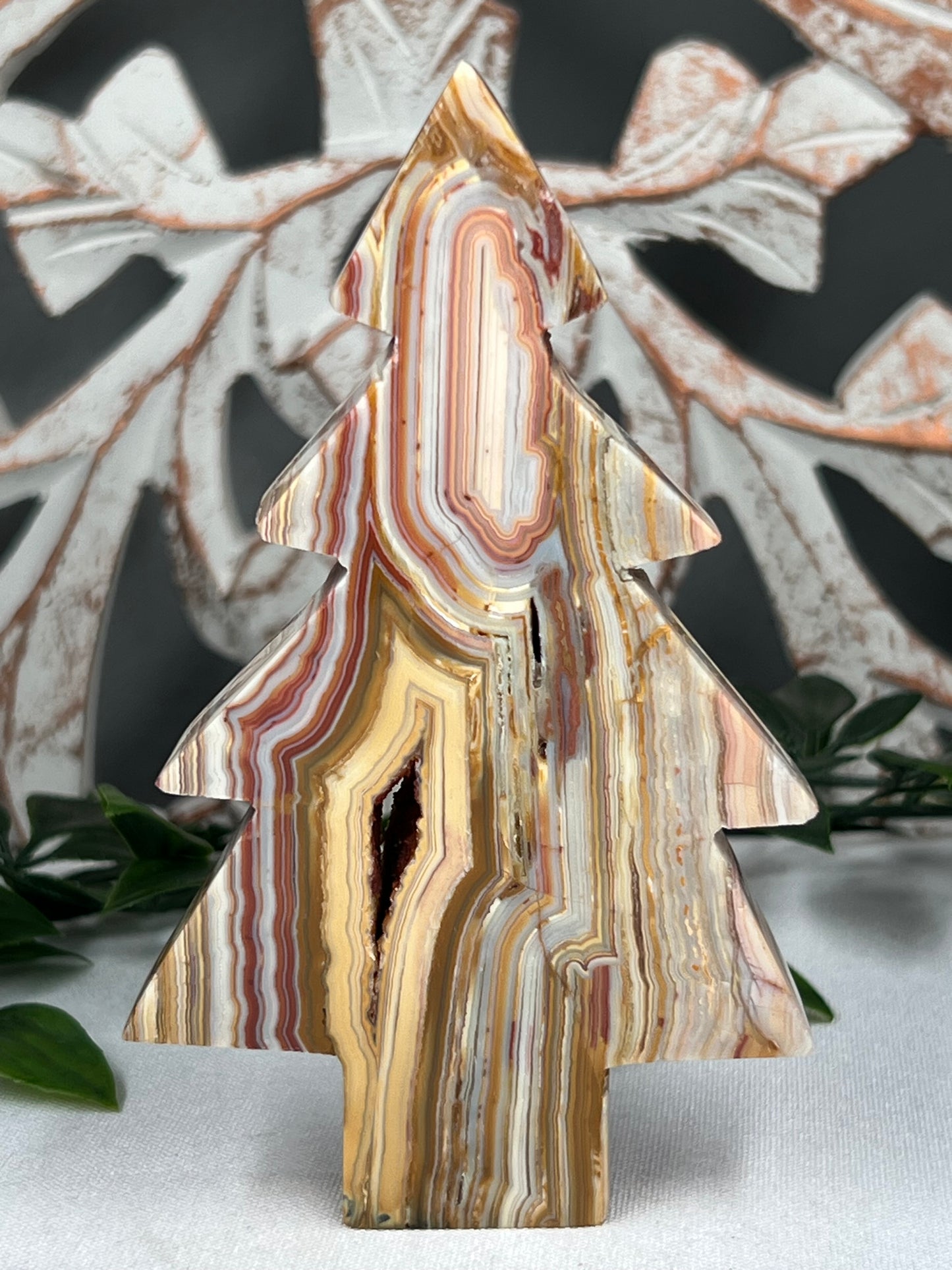 Crazy Lace Agate Tree