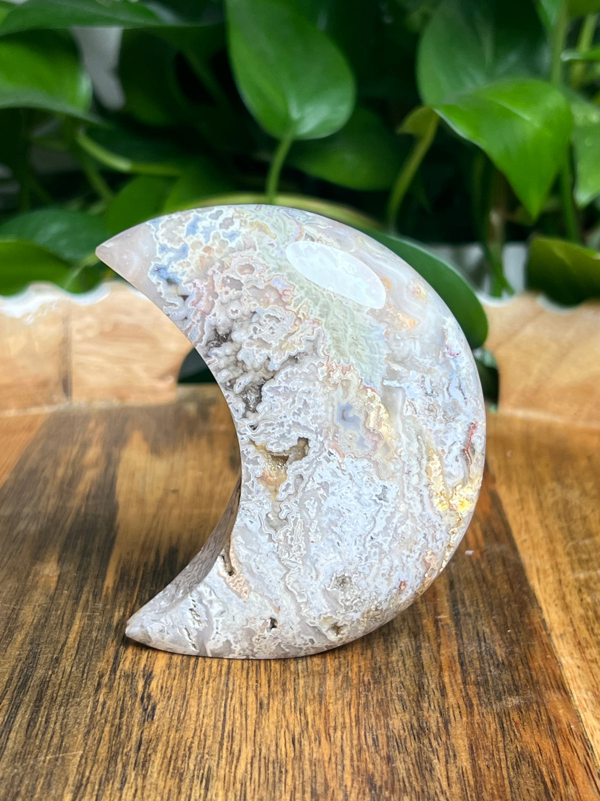 Sumatra Plume Agate Self-Standing Moon: SC