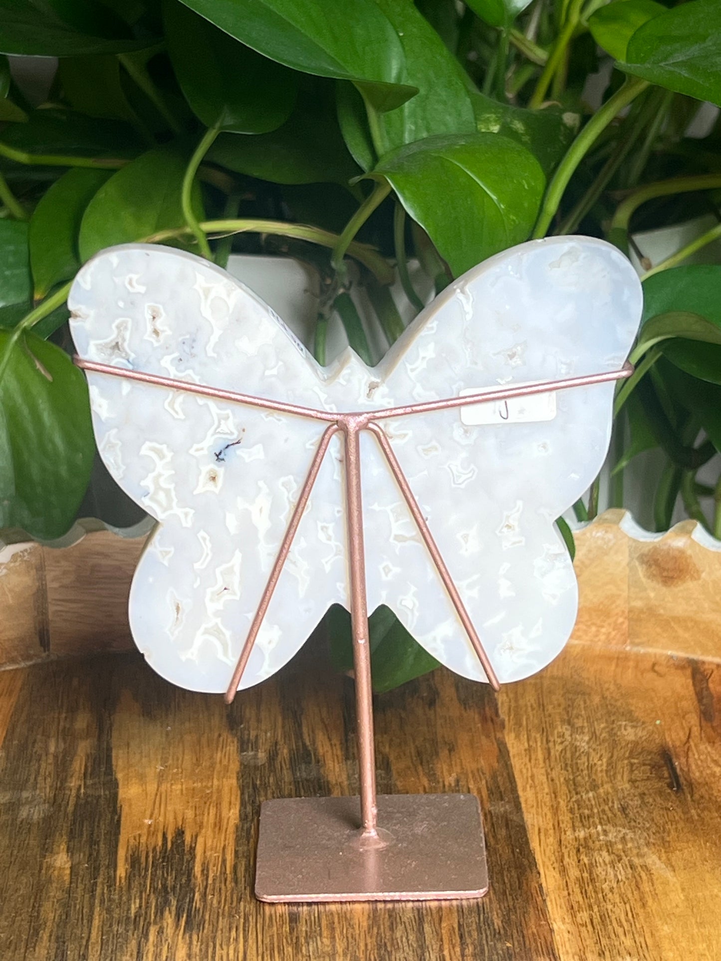 White Plume Agate Butterfly: PN
