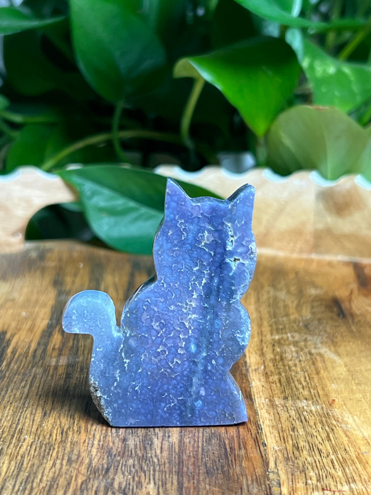 Grape Agate Mini Cat: BH