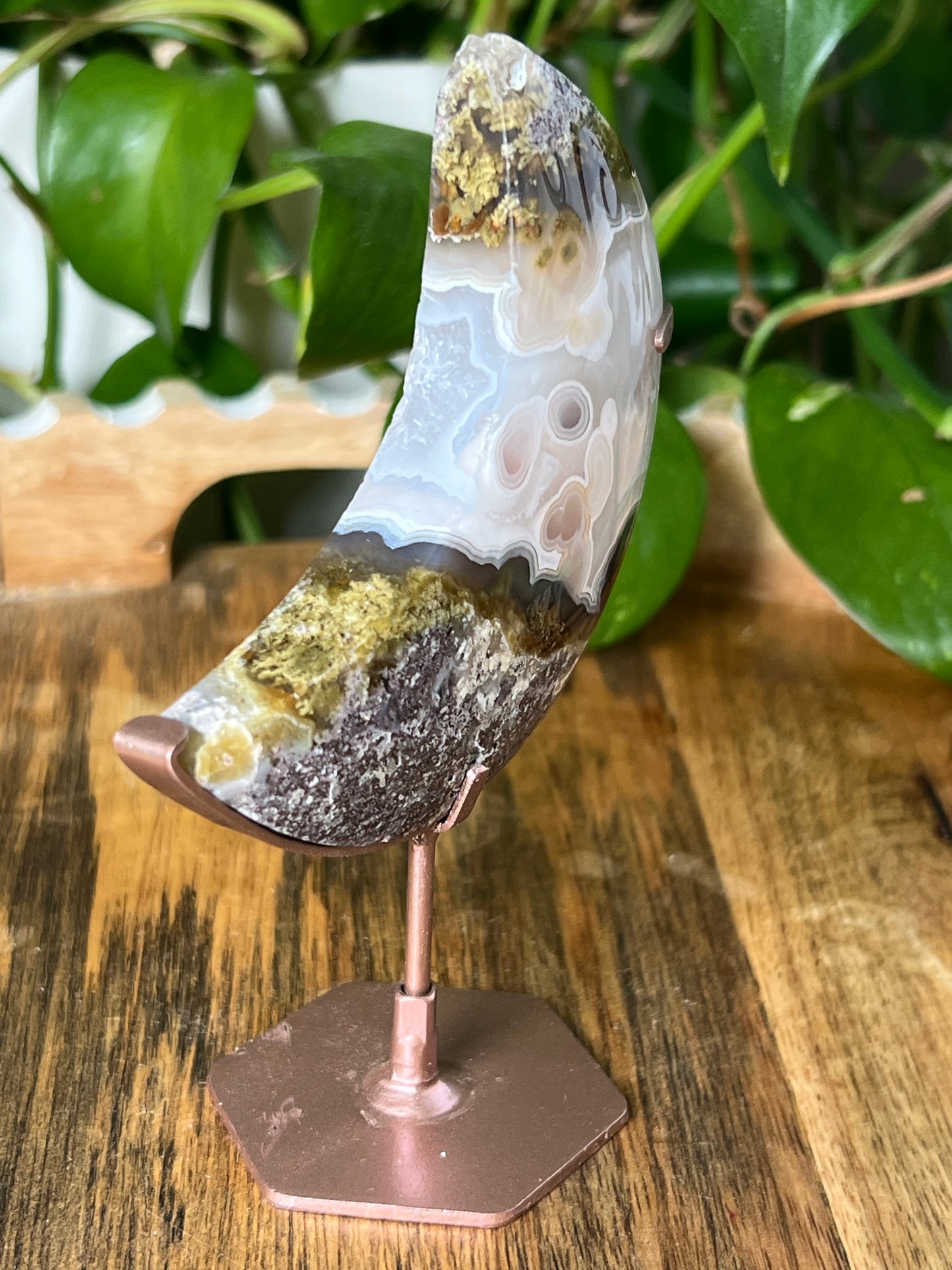 Scenic Moss Agate Moon