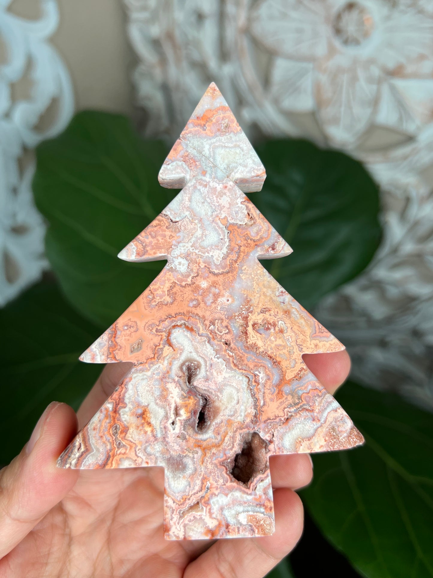 Crazy Lace Agate Tree