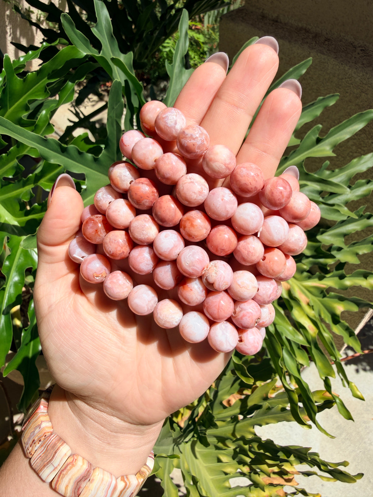 Pink Carnelian Beaded Bracelet (12mm)