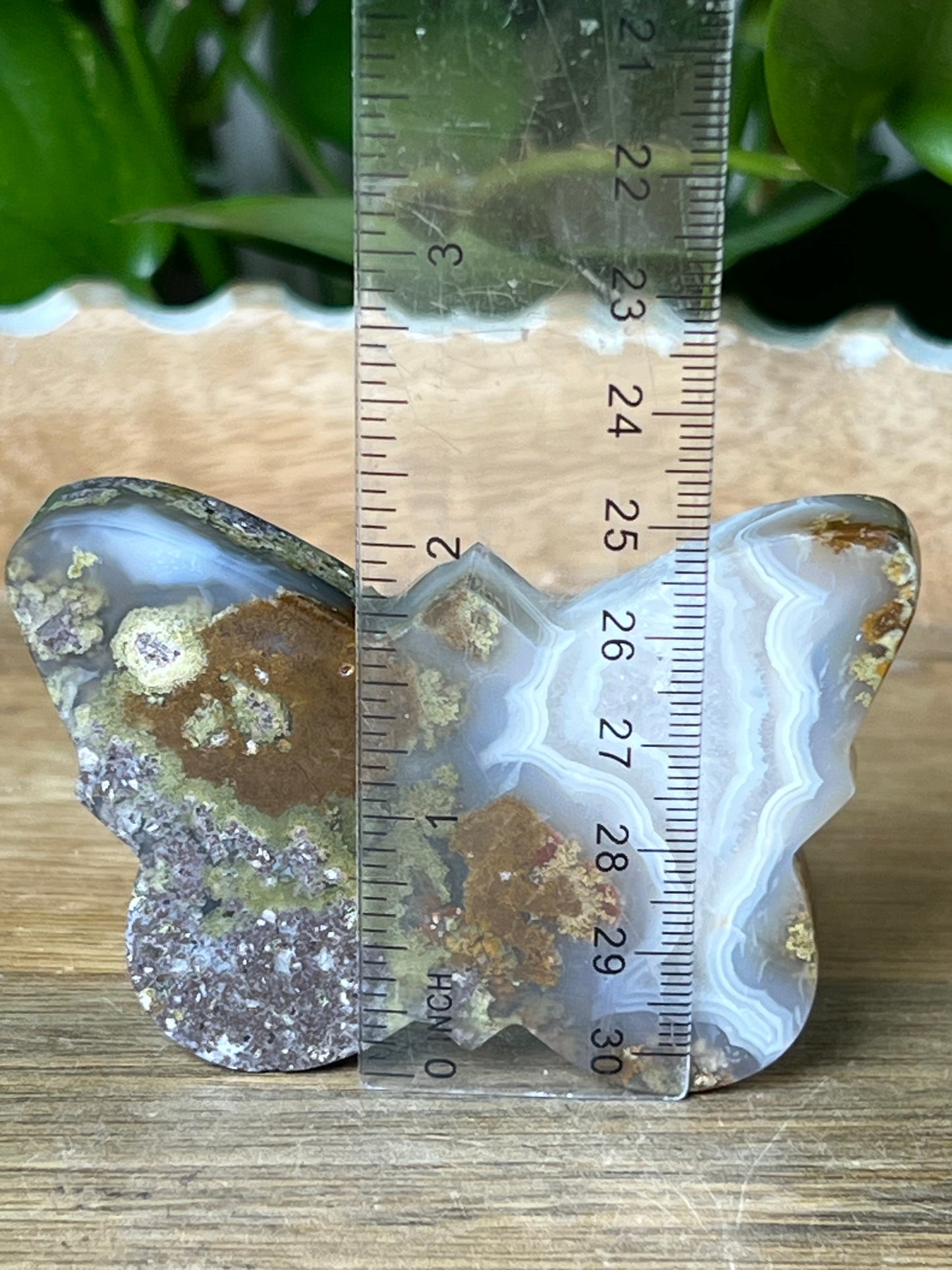 Scenic Moss Agate Butterfly