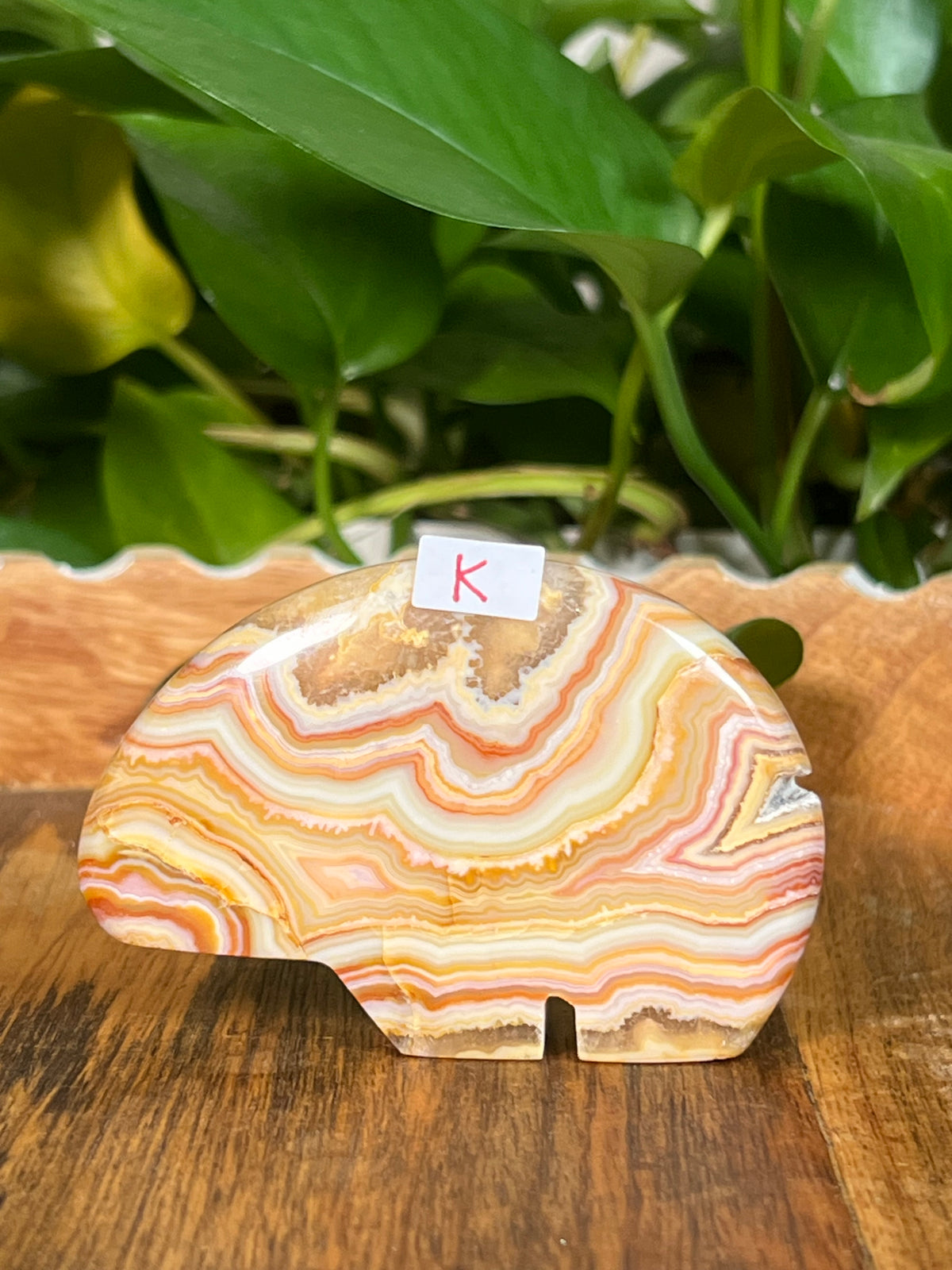 Crazy Lace Agate Bears