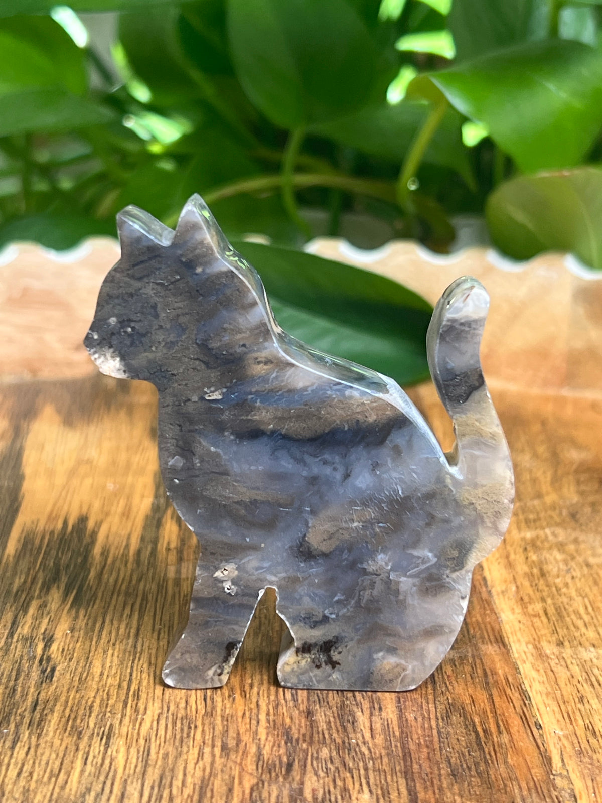 Dendritic Tiger Agate Cat: BB
