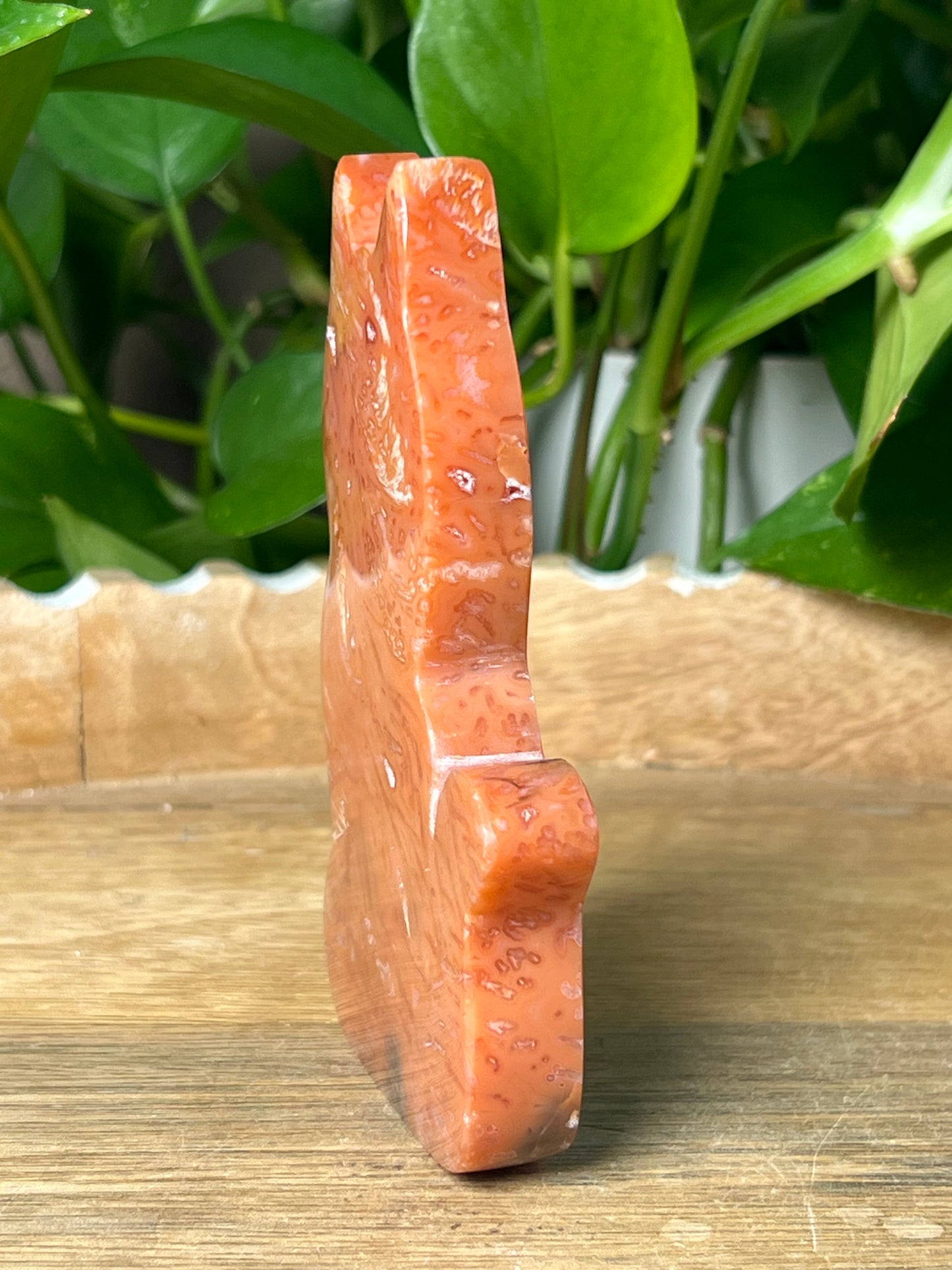 Carnelian Cat