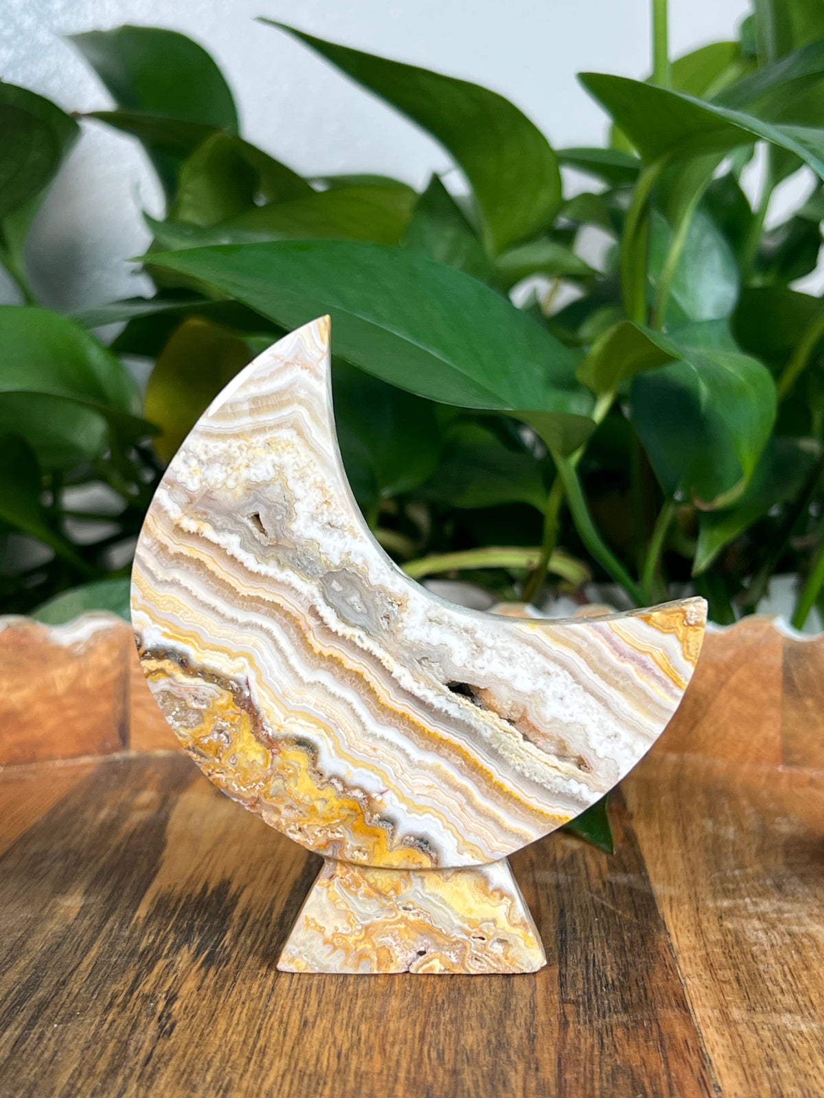 Yellow Crazy Lace Agate Self Standing Moons
