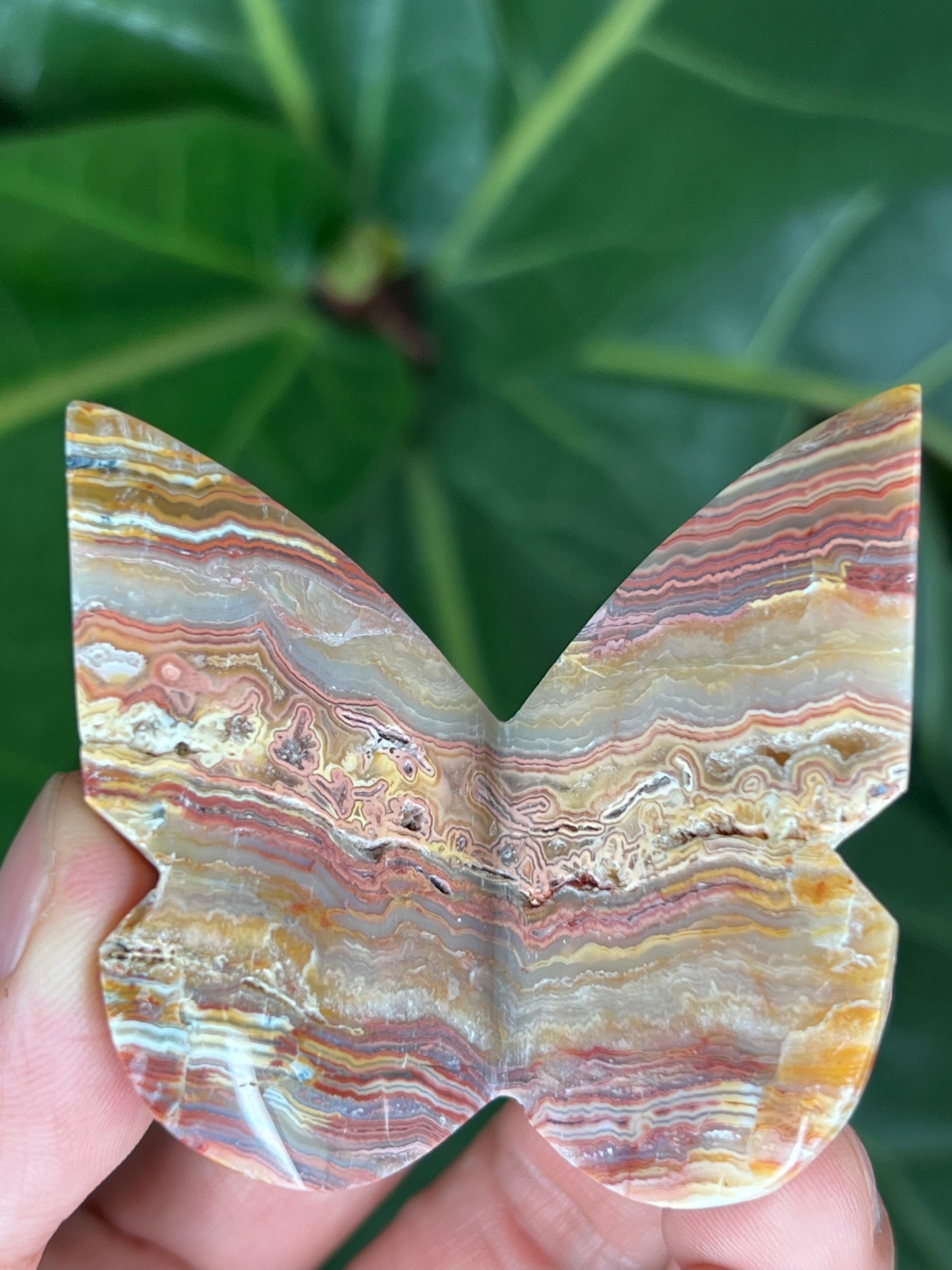 3D Butterfly Crazy Lace Agate