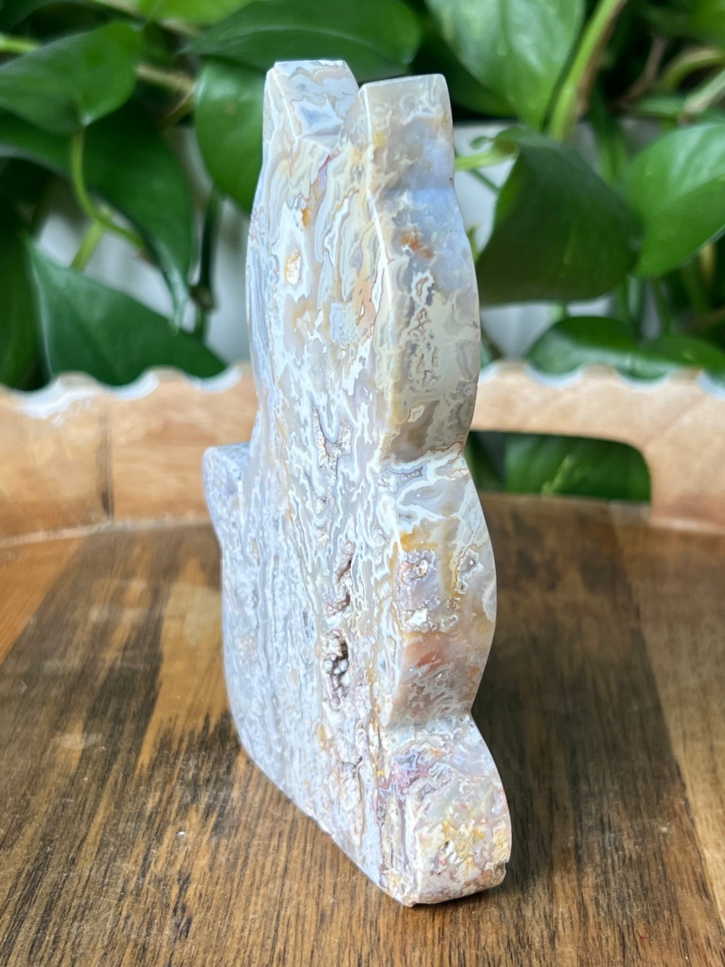 Sumatra Plume Agate Cat