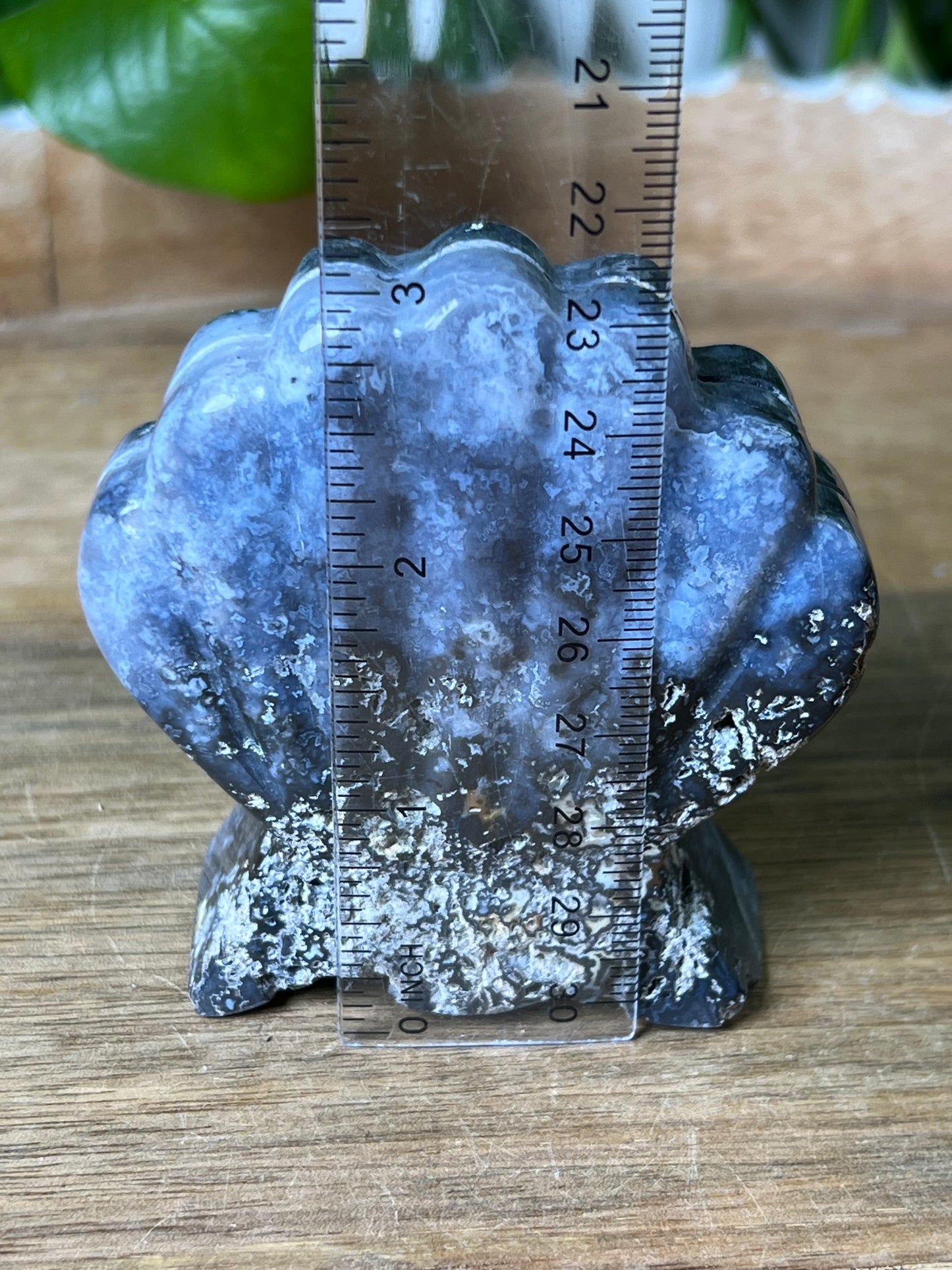 Blue Plume Agate Shell