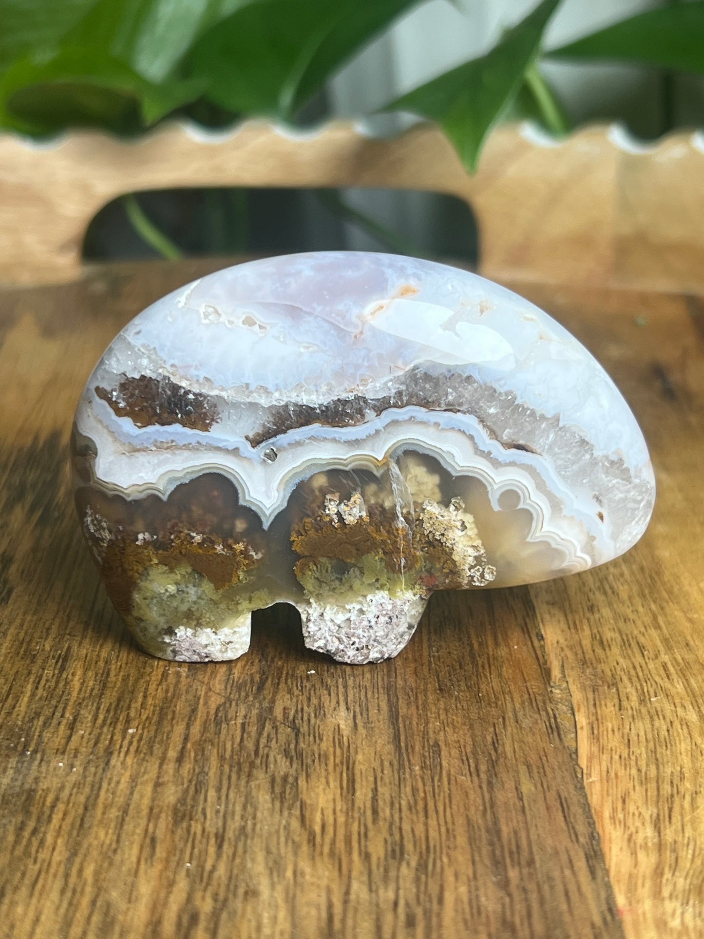 Scenic Moss Agate Bear BX