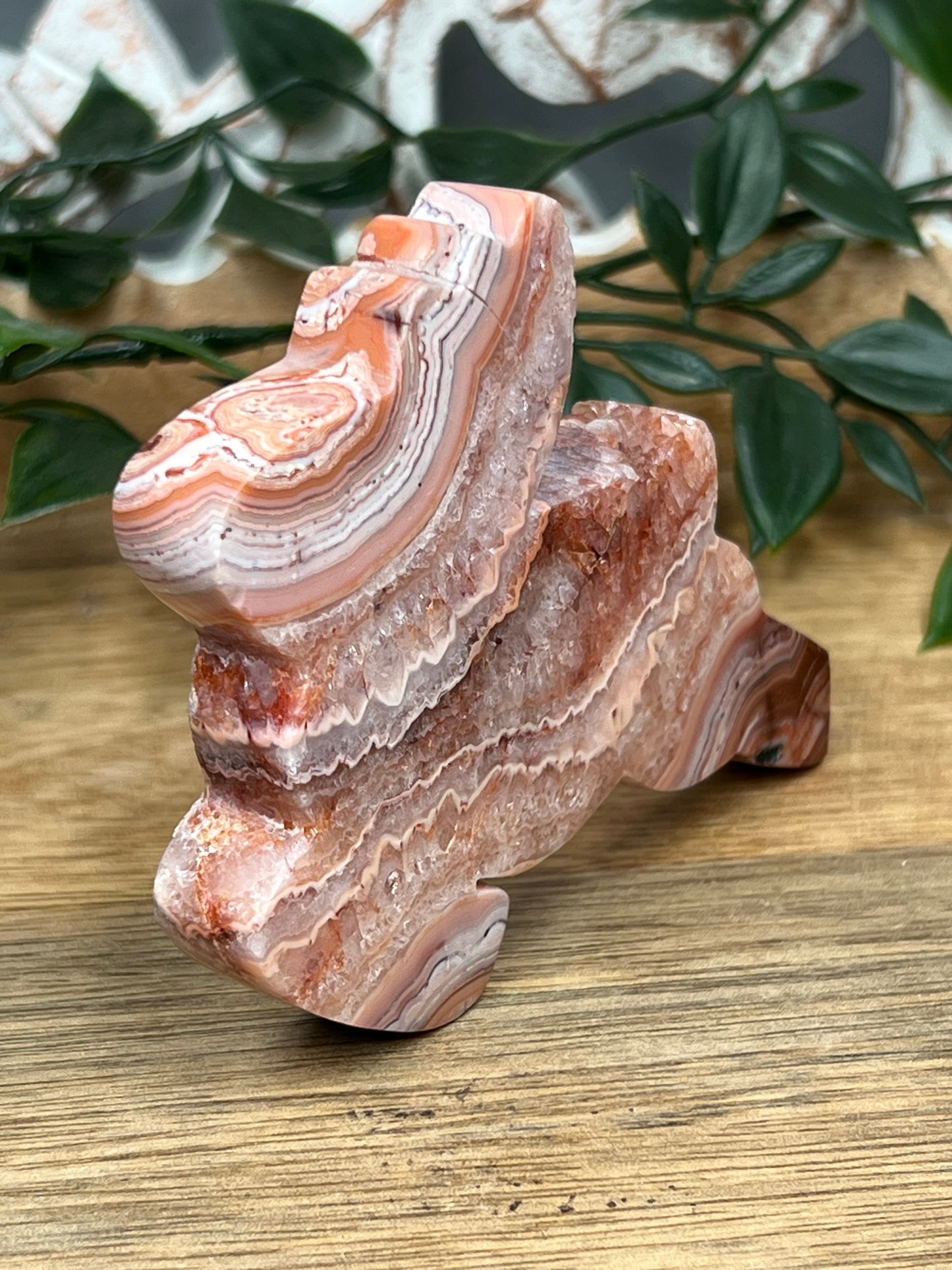 Pink Crazy Lace Agate Deer