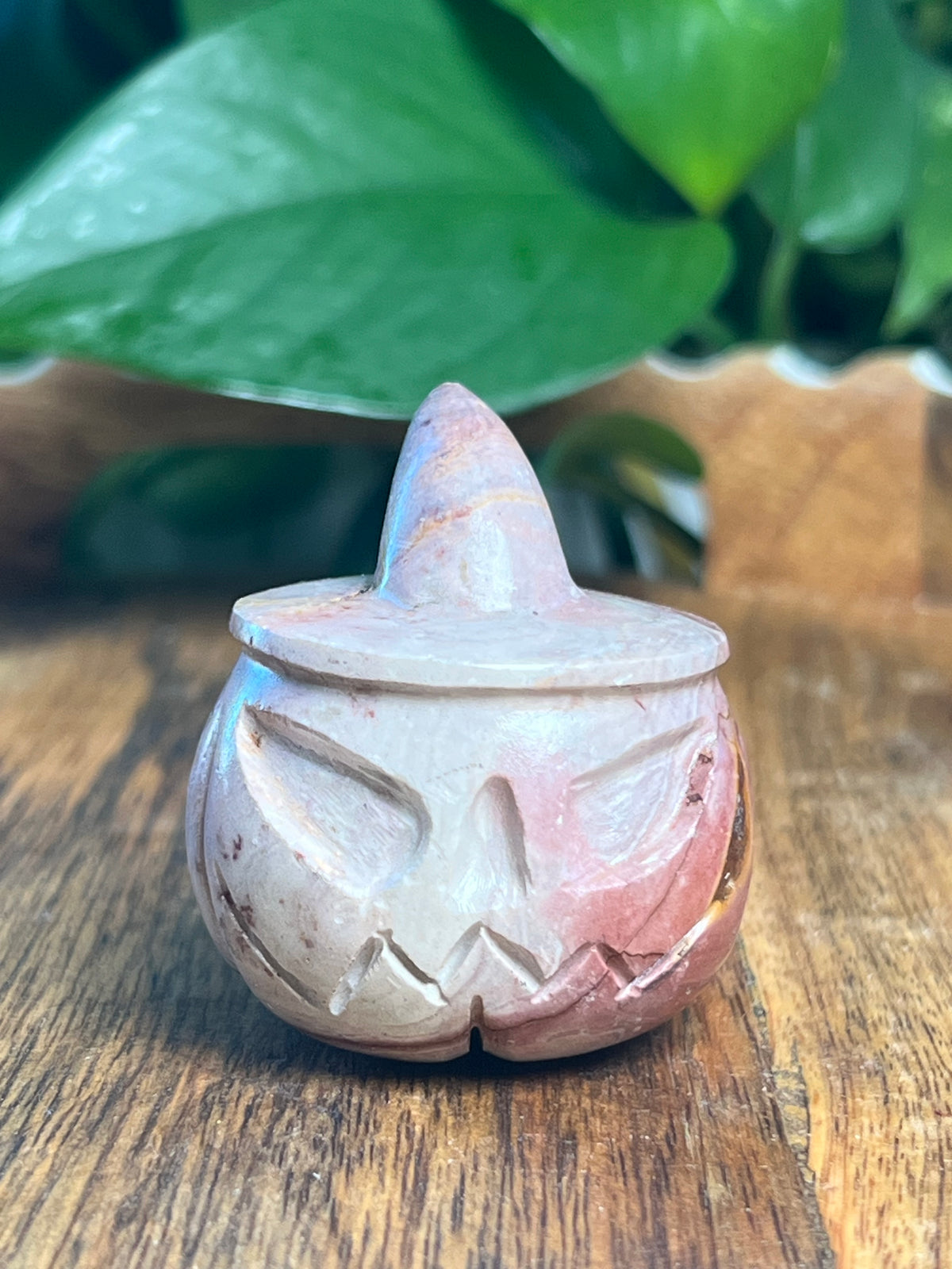 Pink Polycrome Pumpkin: K
