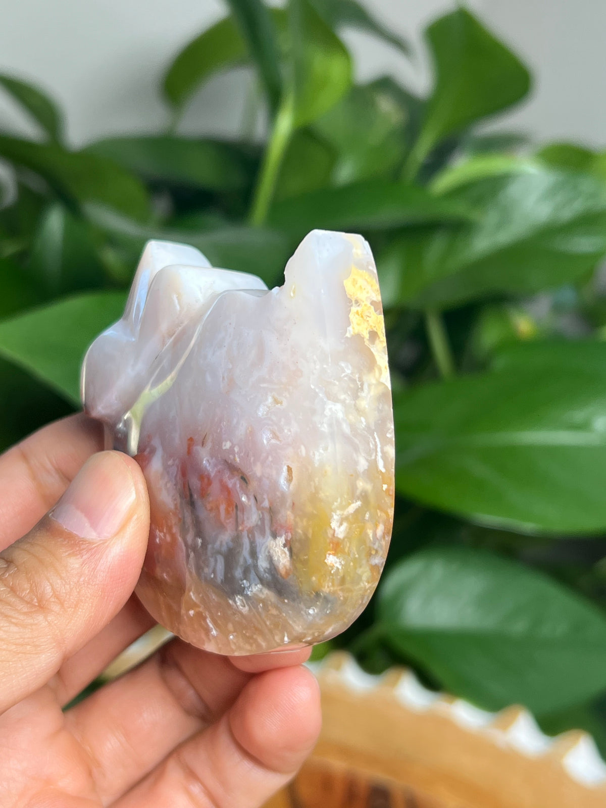 Rainbow Plume Agate Cat: FD