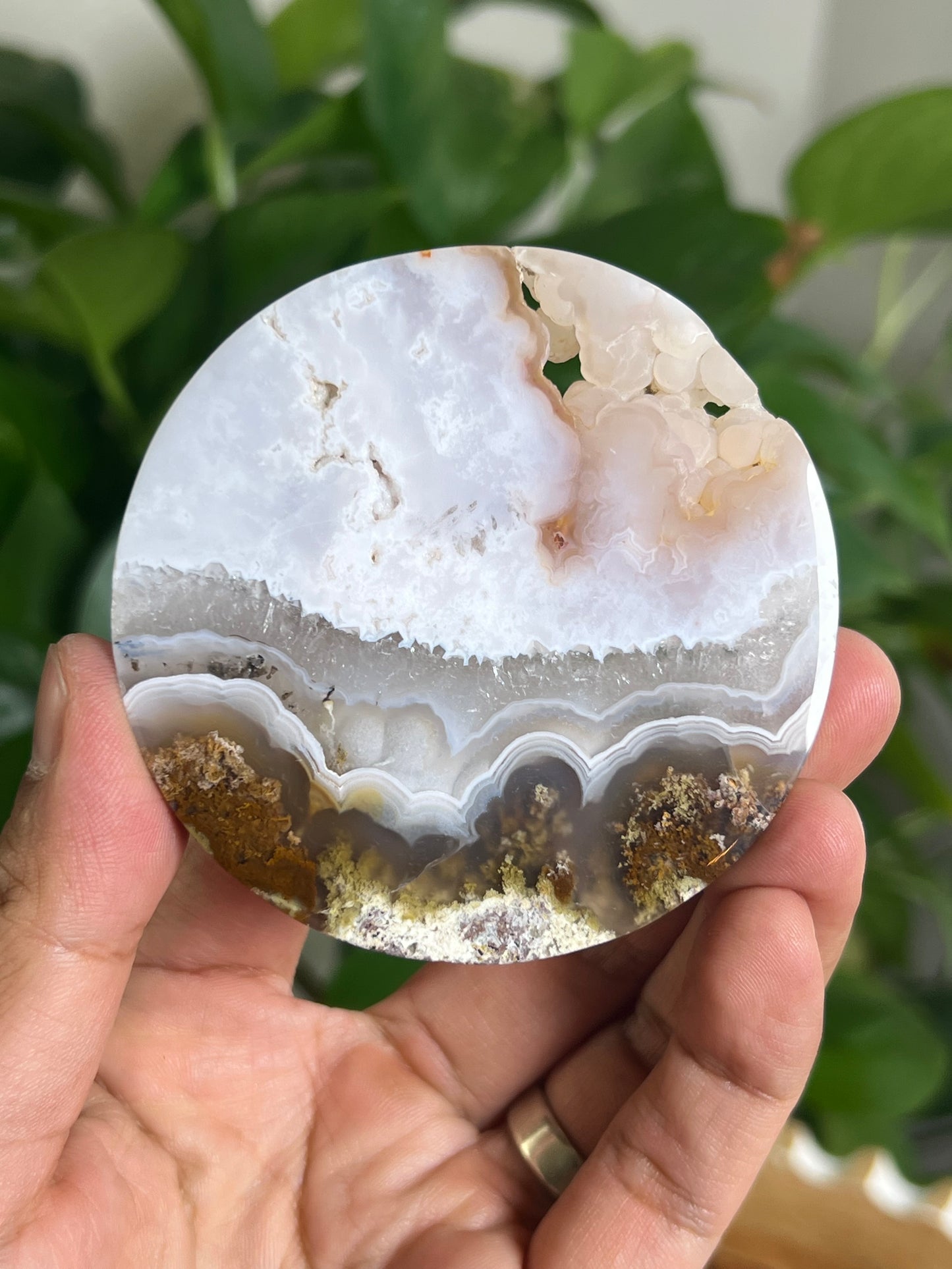 Scenic Moss Agate Coaster: AQ