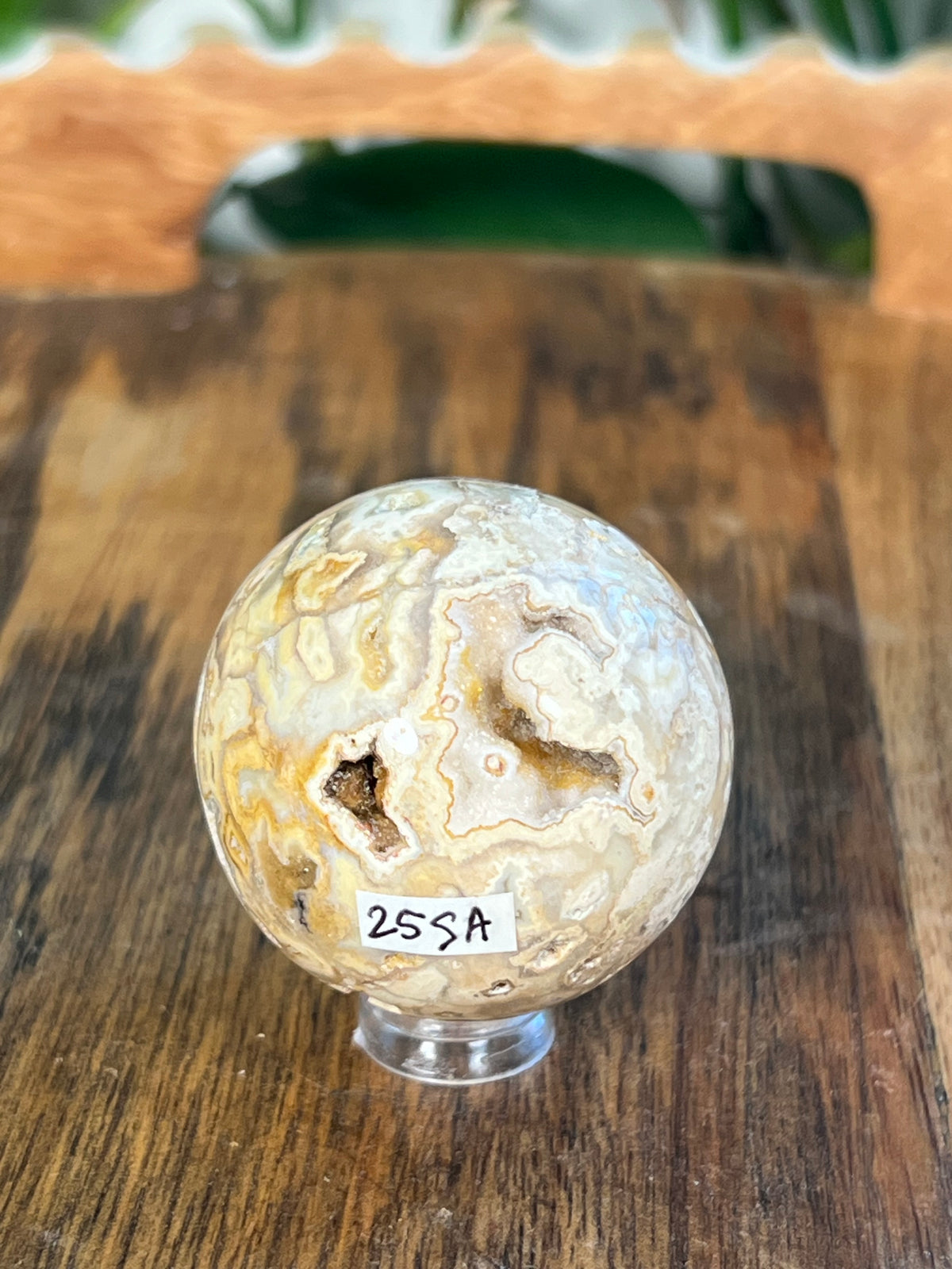 Crazy Lace Agate Egg: SA