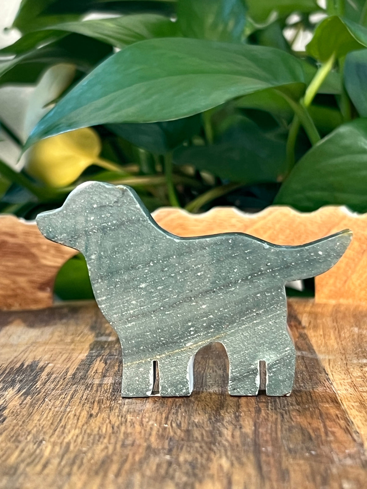 Blue Green Jasper Dogs