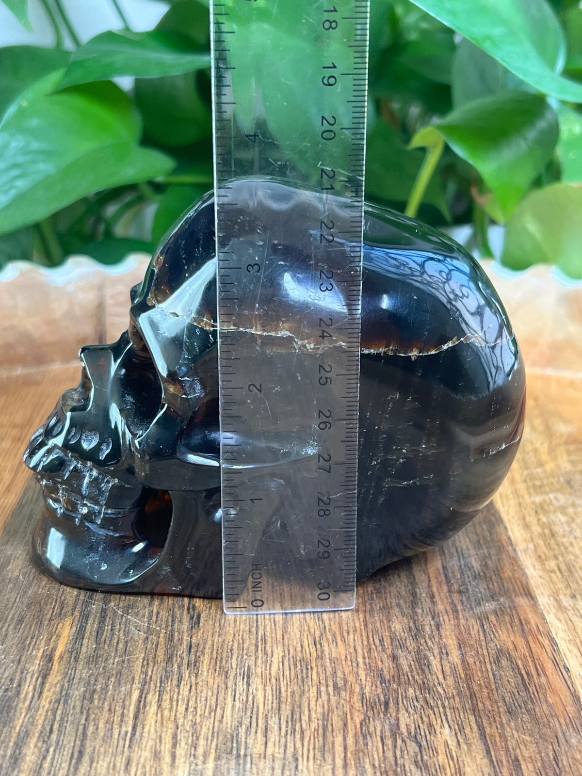 Blue Amber Skull: NX