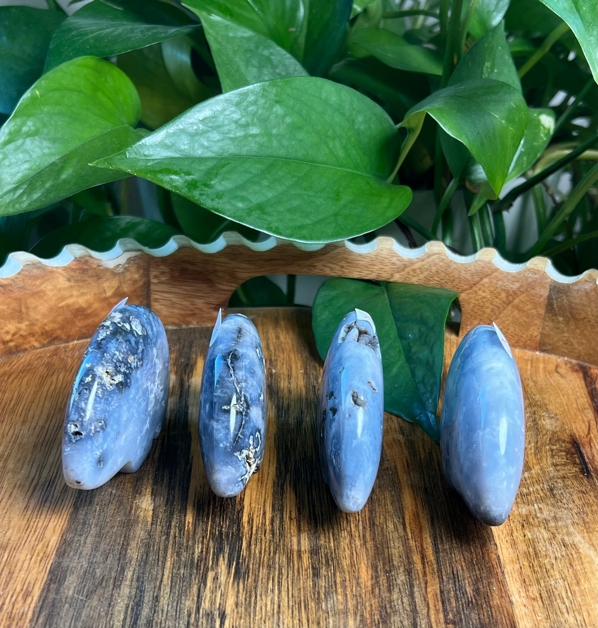 Blue Plume Agate Bears