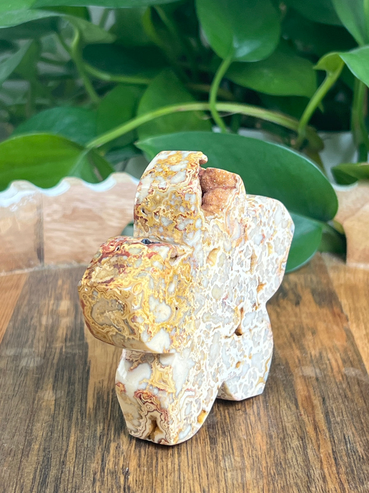 Crazy Lace Agate Flower: Ai