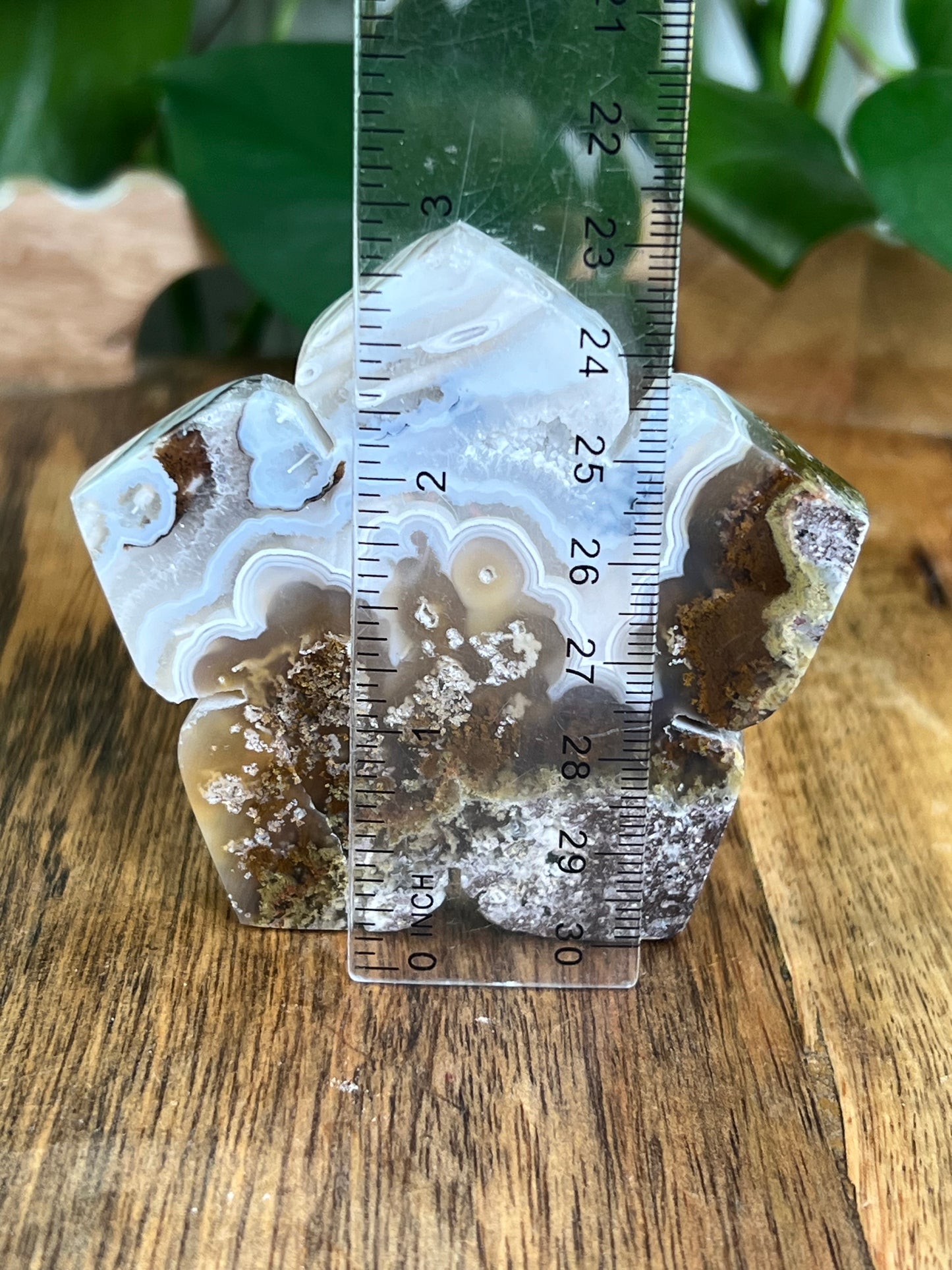 Scenic Moss Agate Flower PA