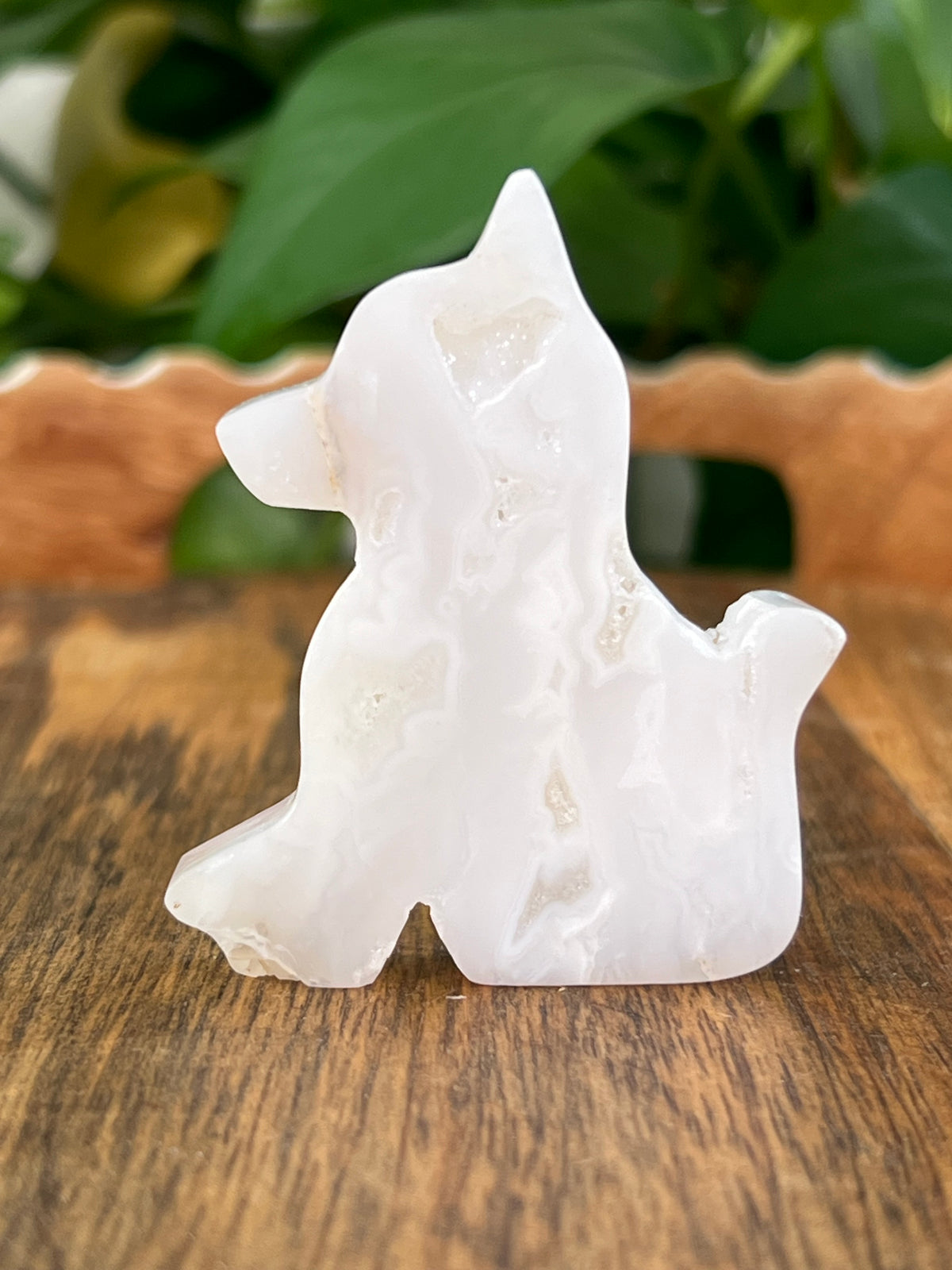 White Plume Agate Dogs