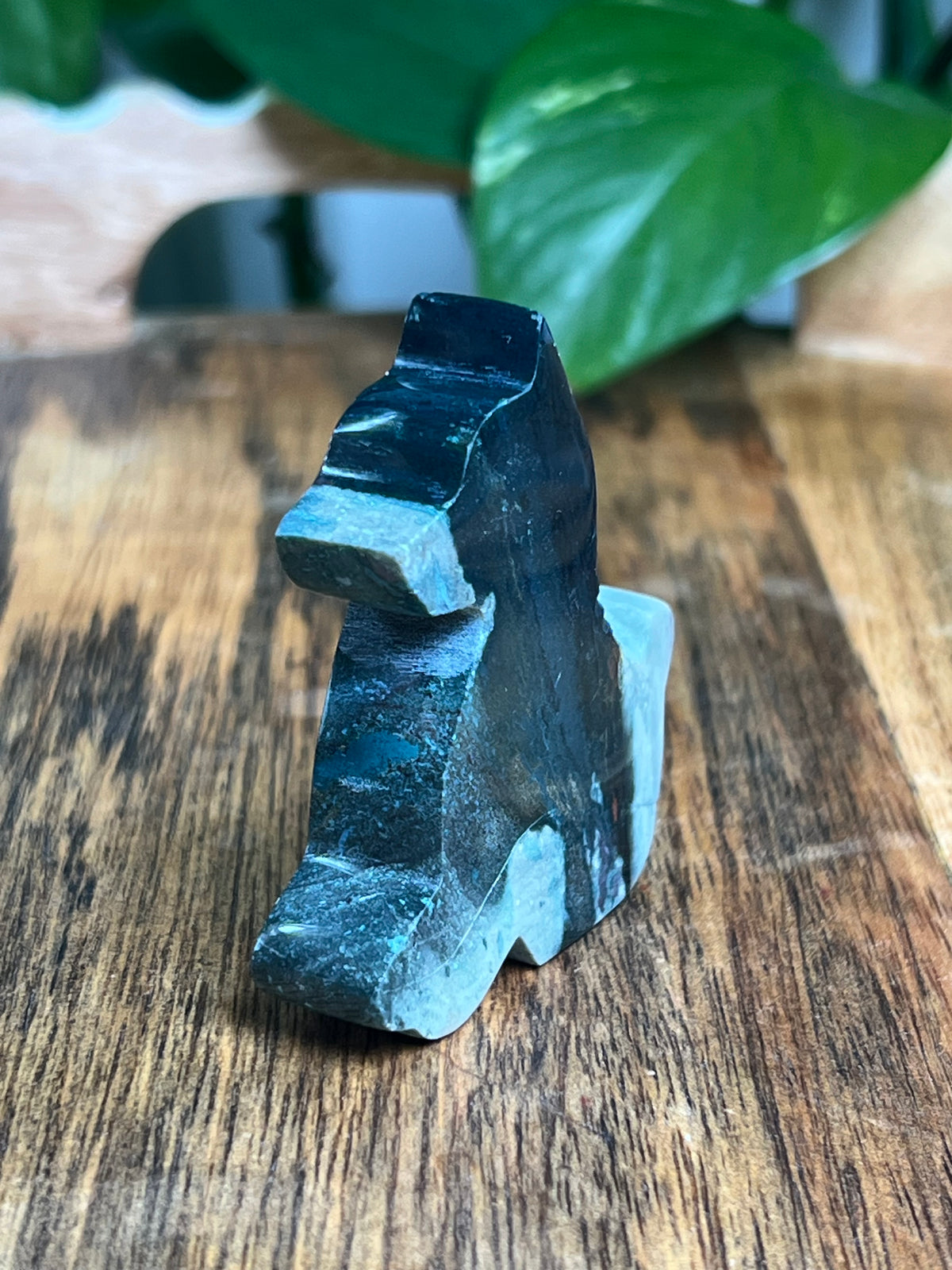 Blue Green Jasper Dog: AA