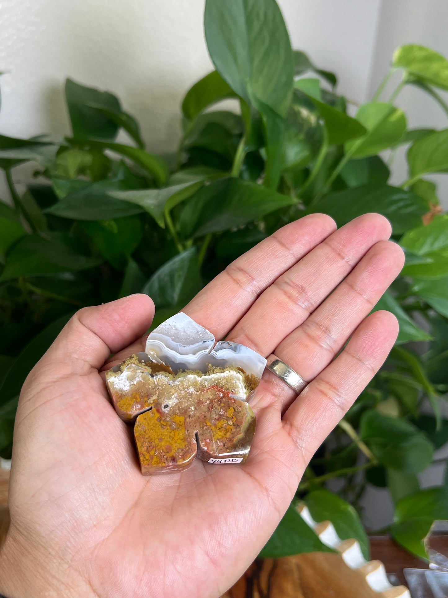 Scenic Moss Agate Flower ND