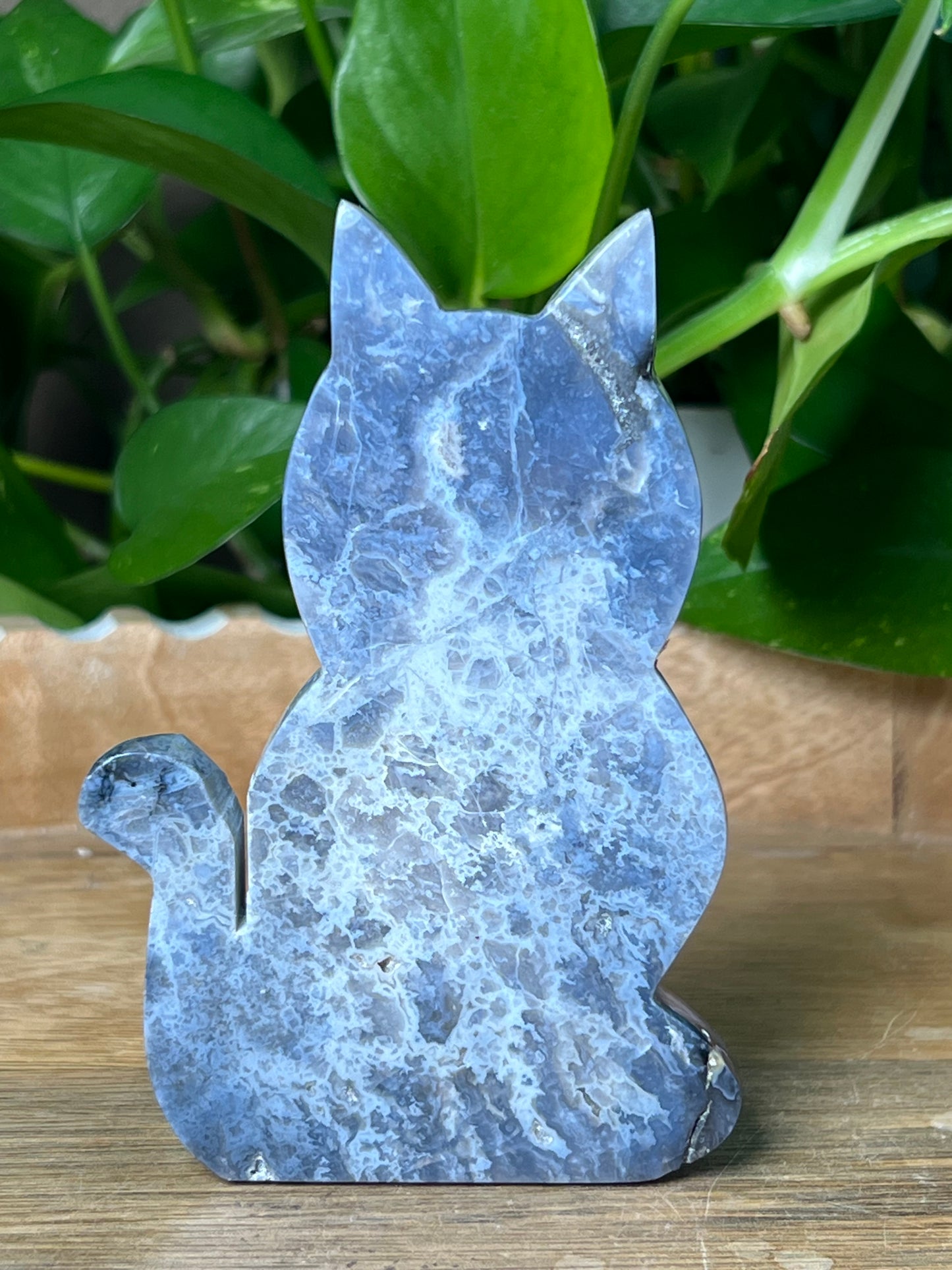 Blue Plume Agate Cat