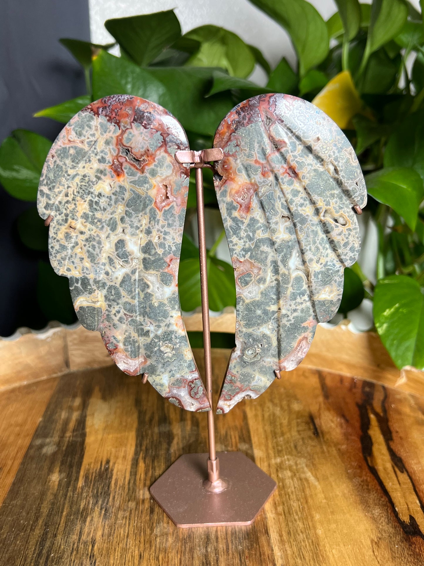 Marcasite Wings