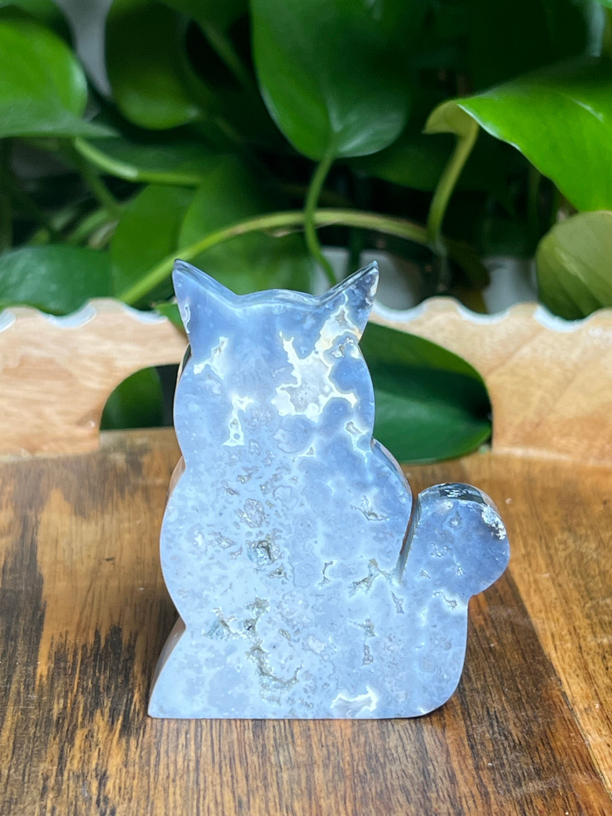 Blue Plume Agate Cat: BB