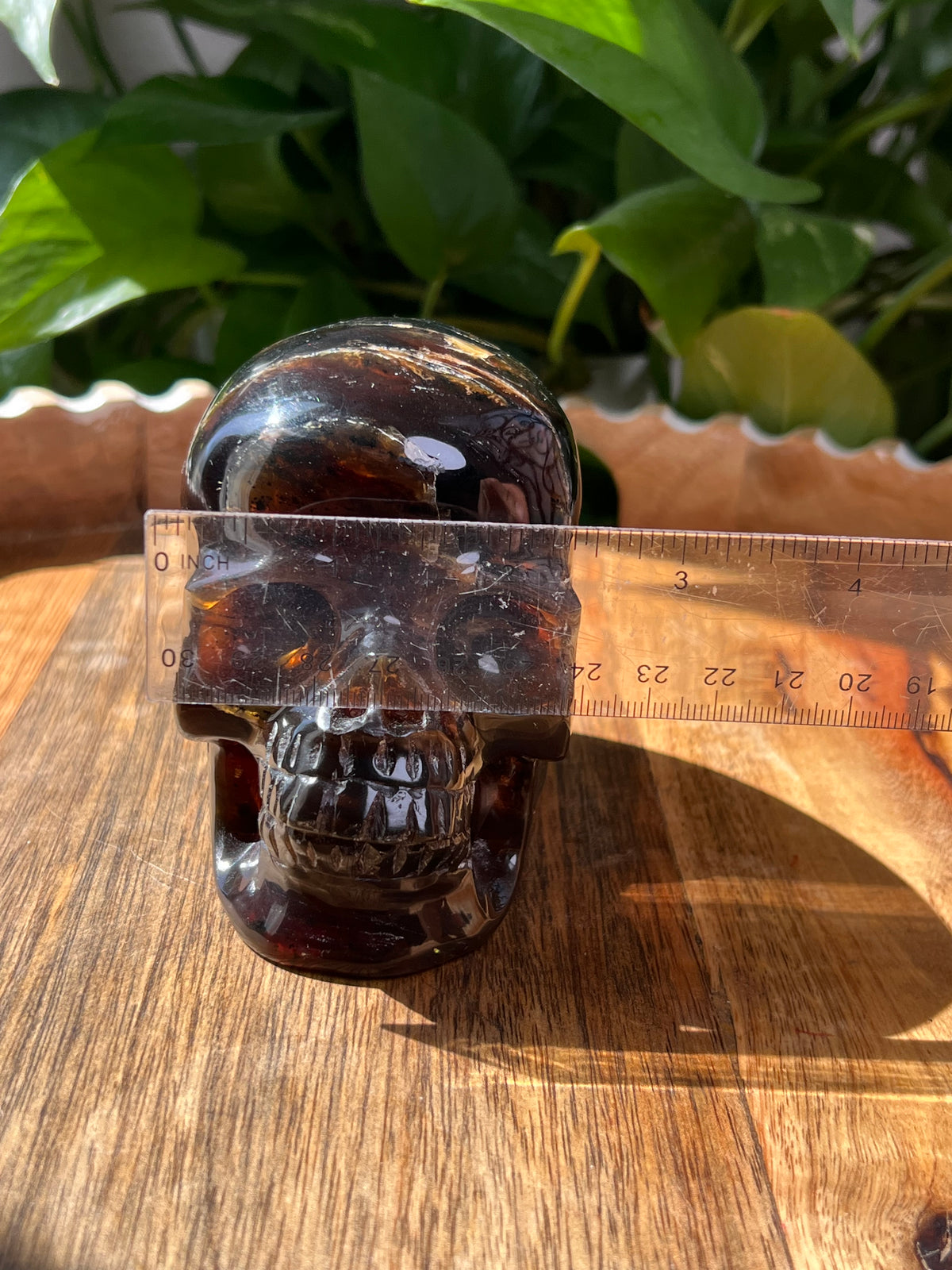 Blue Amber Skull: NB