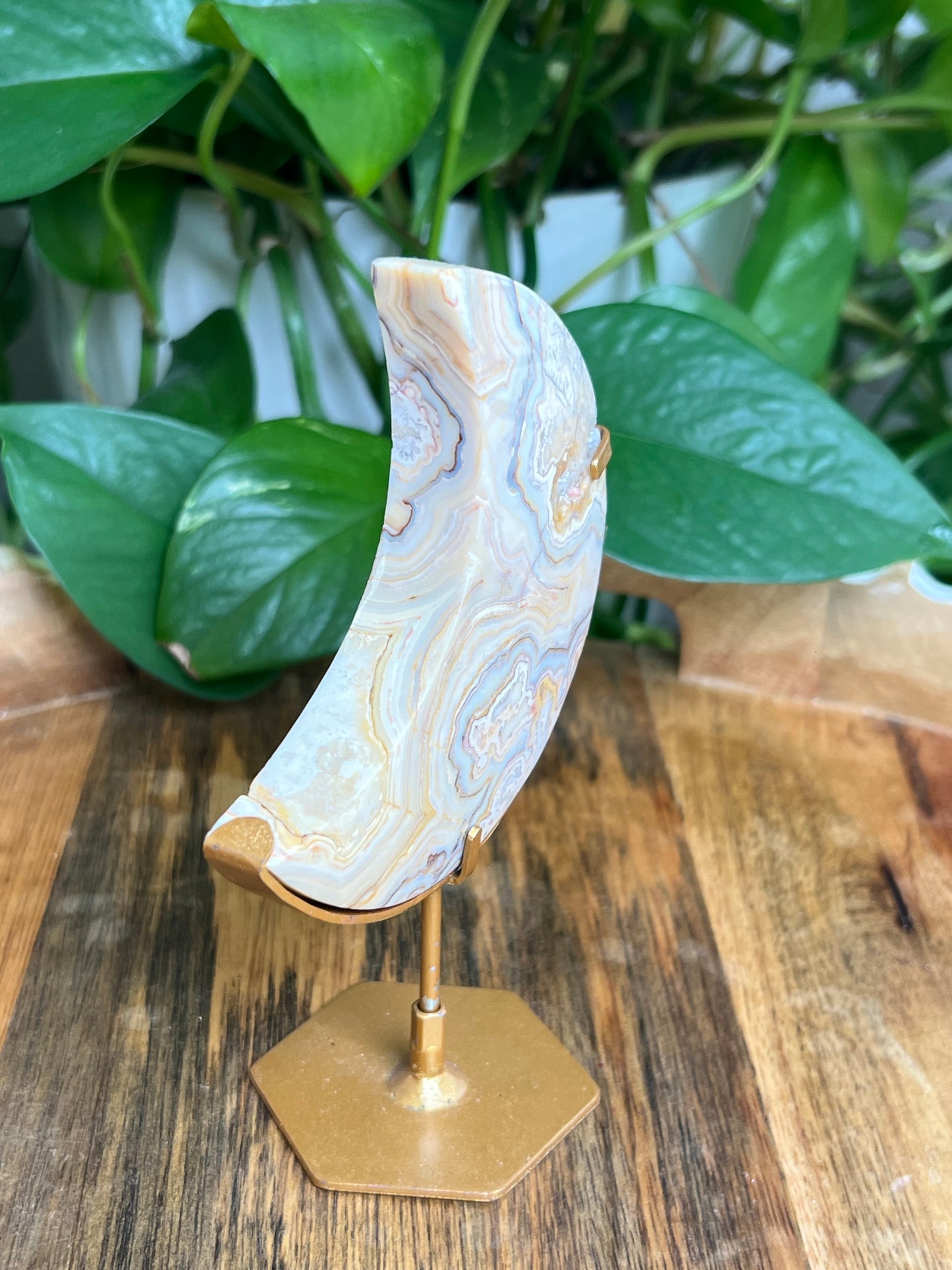 Yellow Crazy Lace Agate Moon: EM