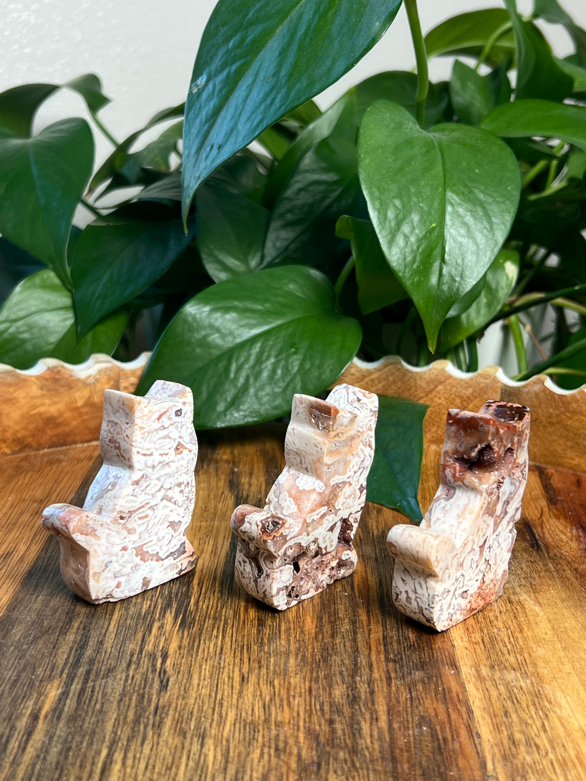 Tube Agate Mini Cats