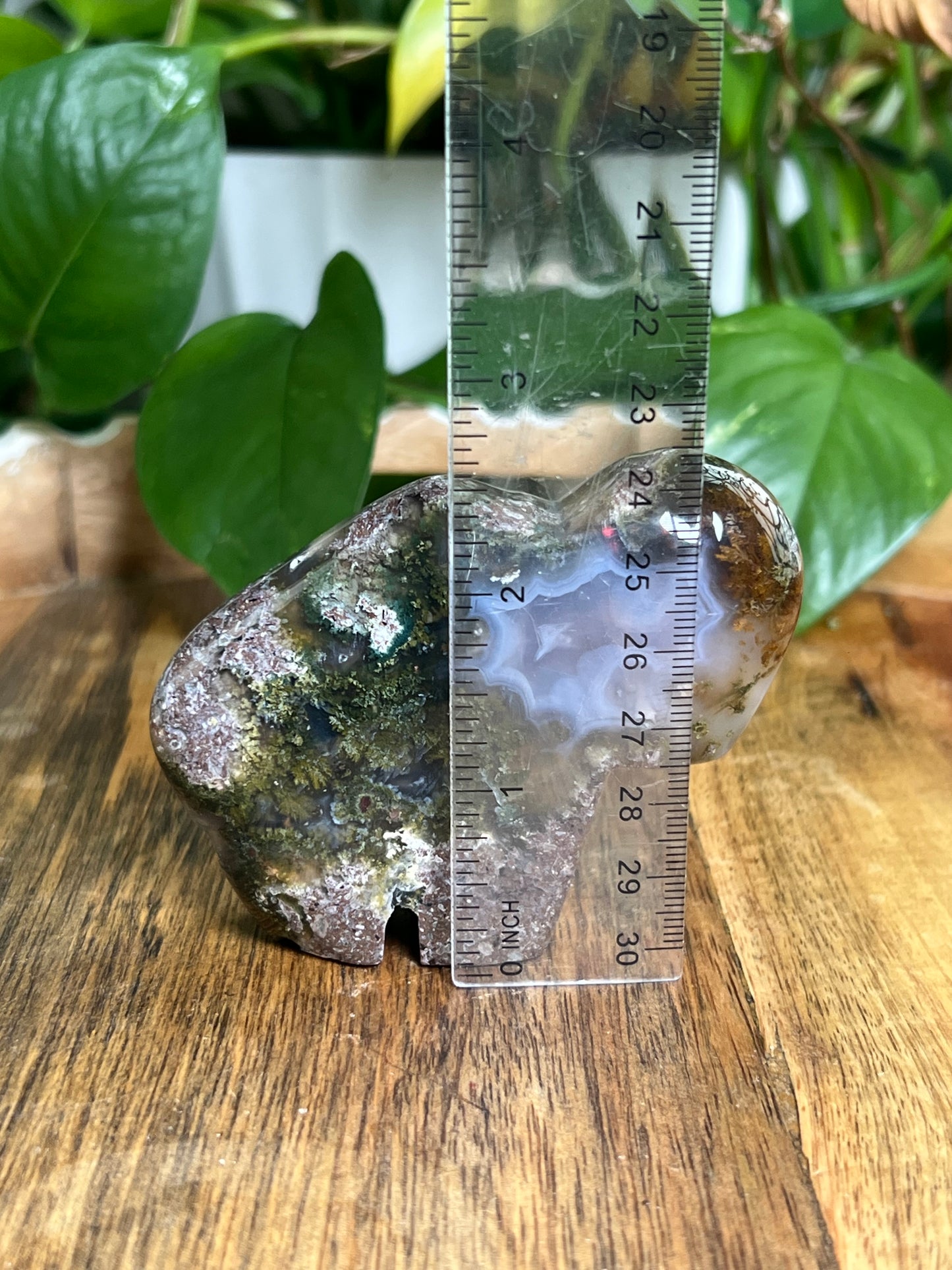 Scenic Moss Agate Buffalo NB