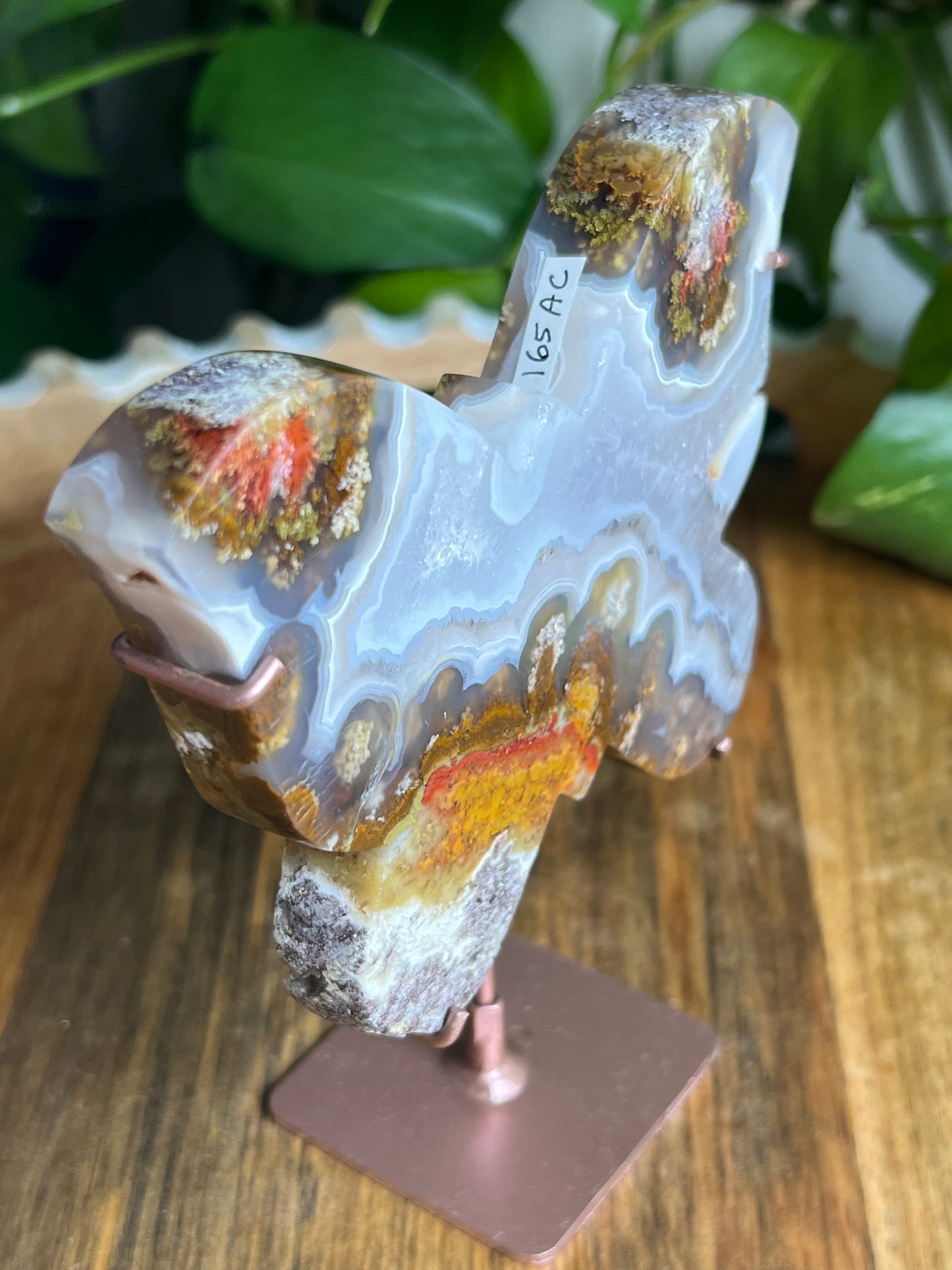 Scenic Moss Agate Butterfly